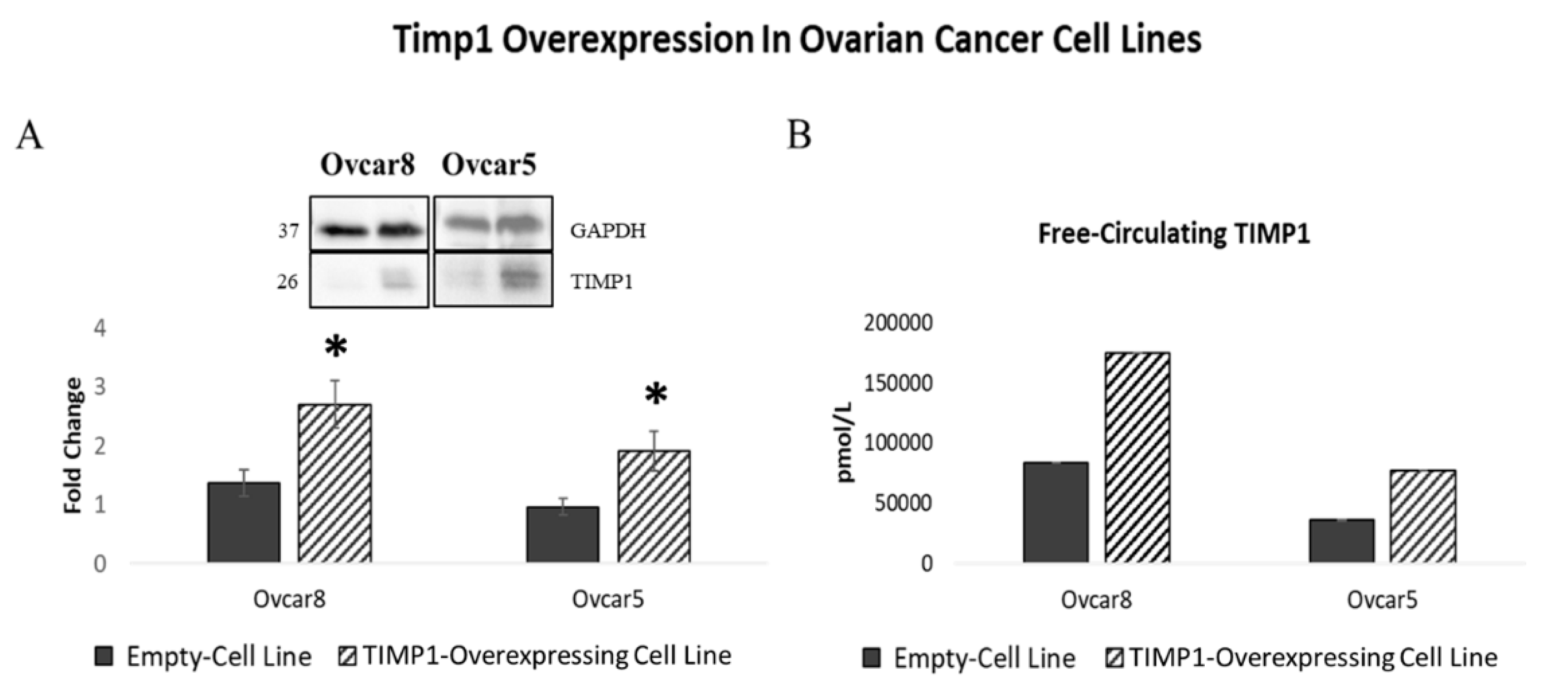 Cancers 17 01605 g005