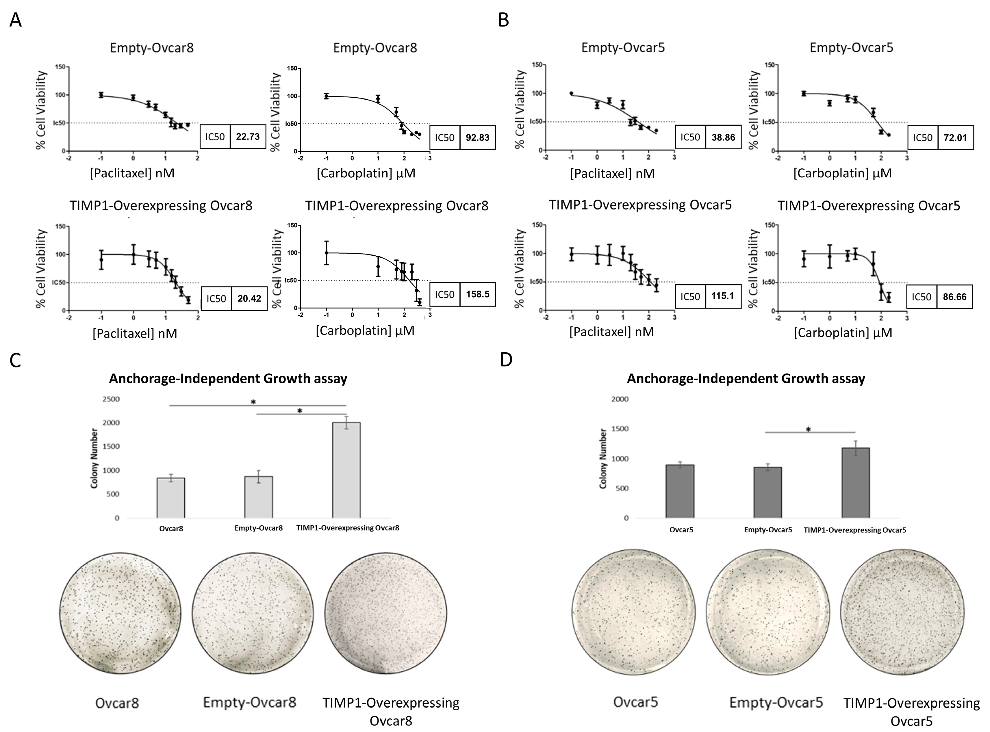 Cancers 17 01605 g006