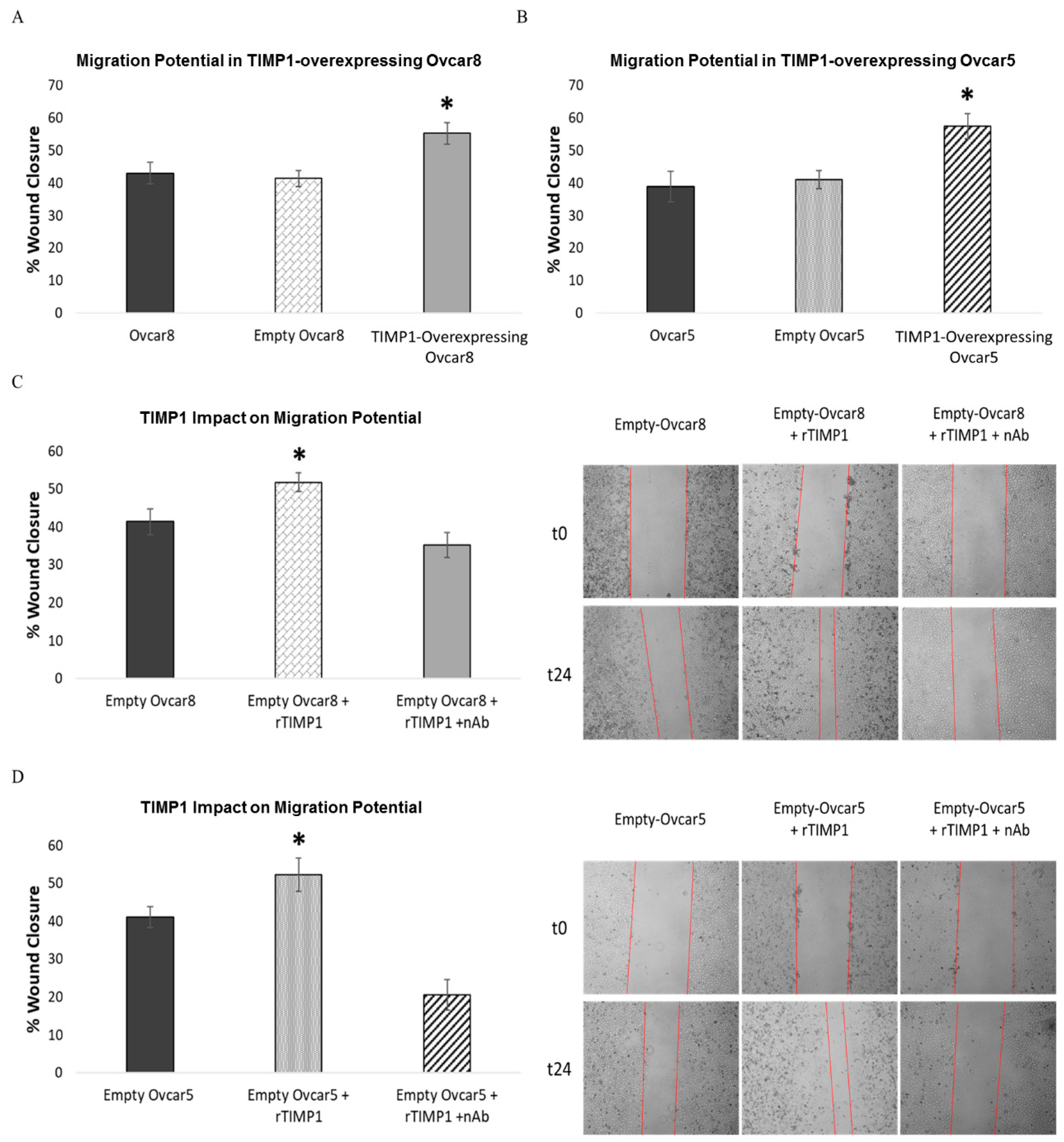 Cancers 17 01605 g007