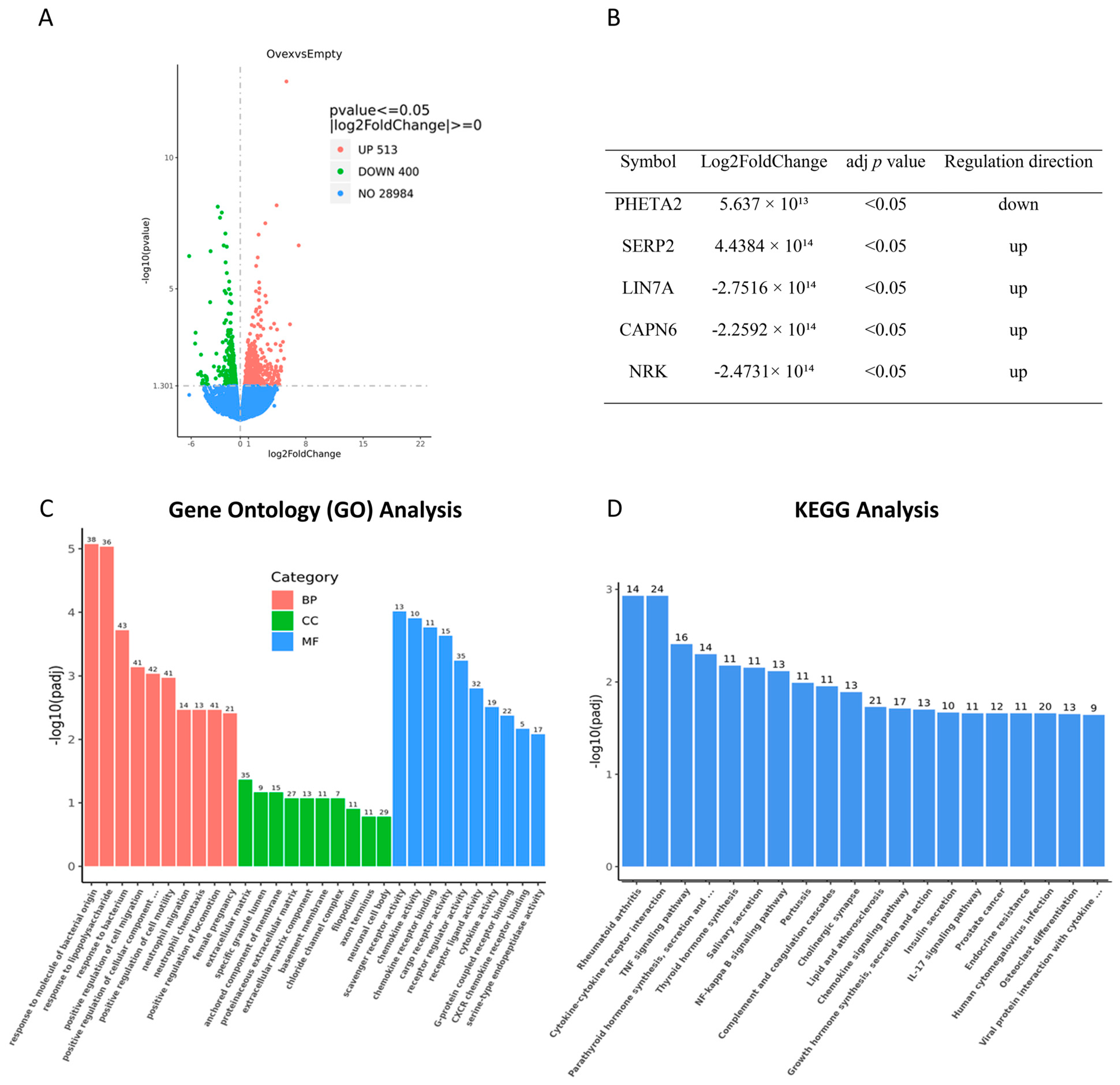 Cancers 17 01605 g010