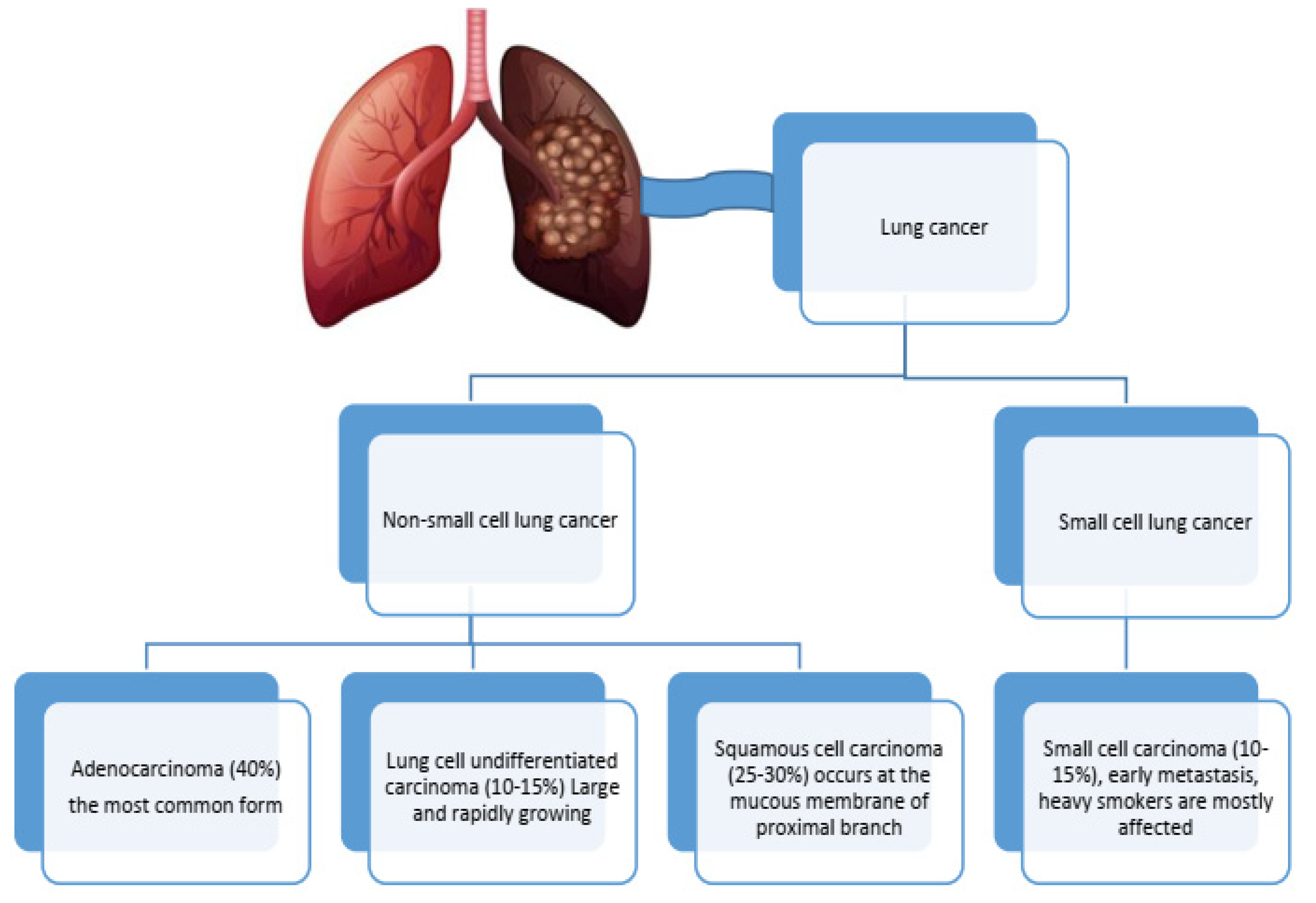 Cancers 17 01612 g001