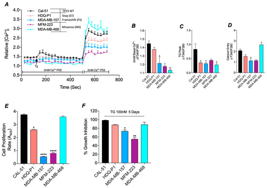 TP53 Mutation-Specific Dysregulation of Store-Operated Calcium