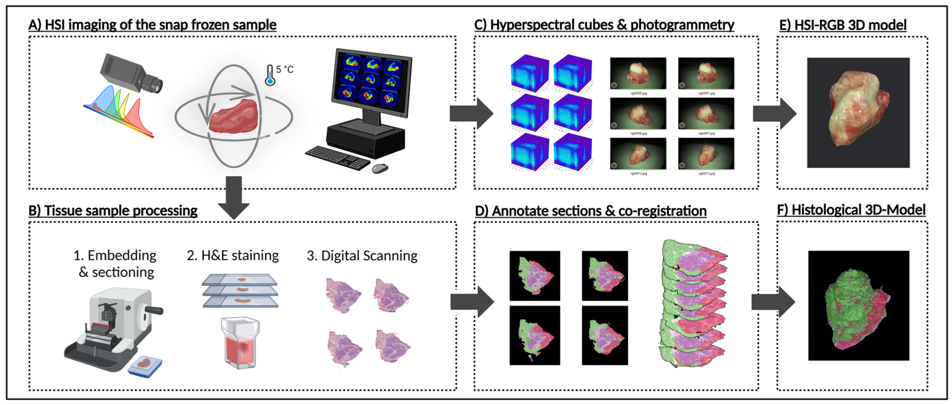 Cancers 17 01617 g001