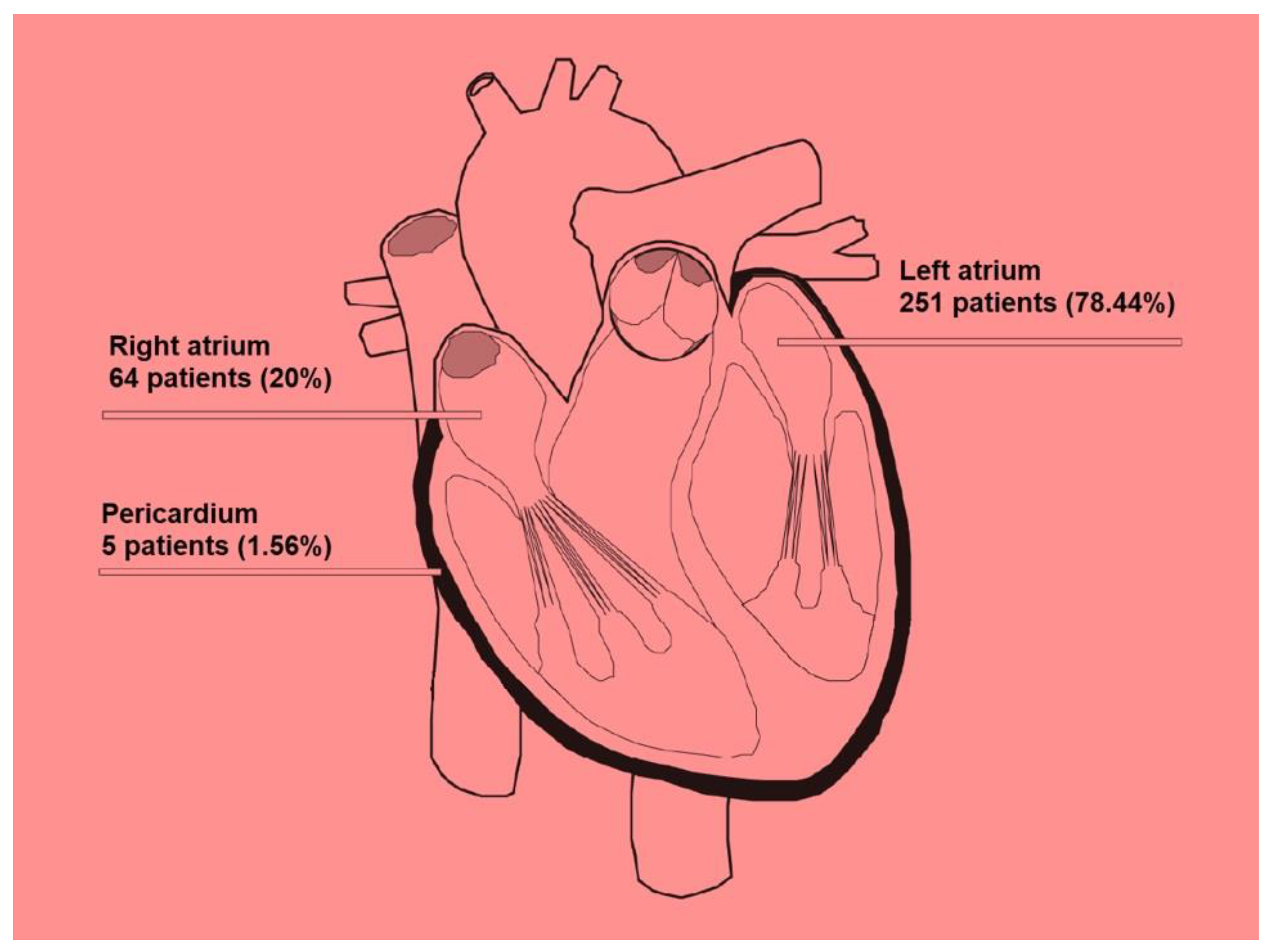 Cancers 17 01621 g006