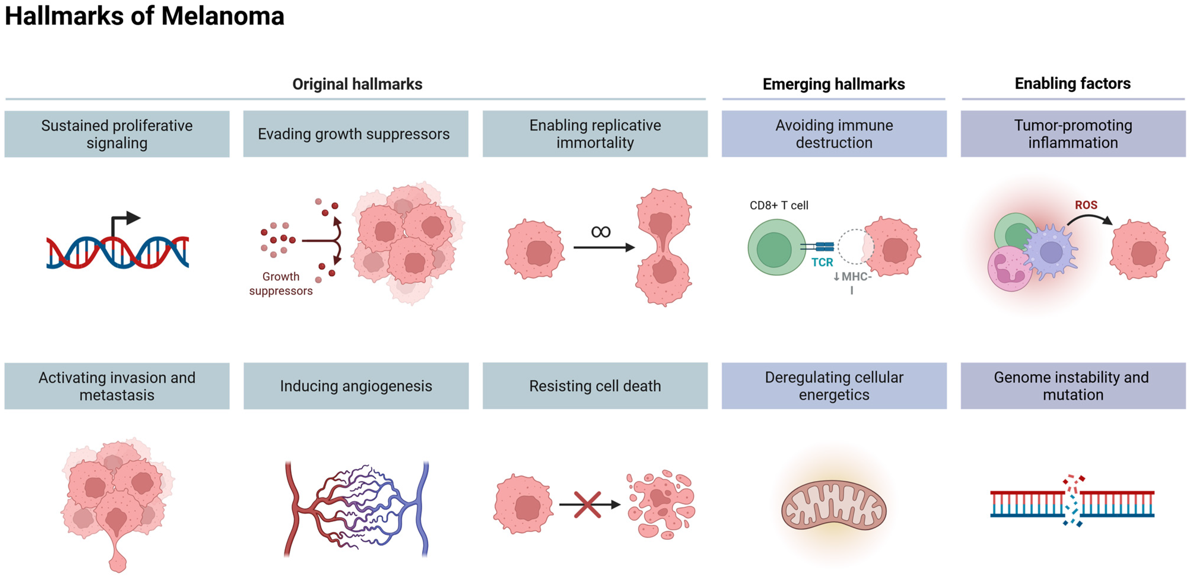 Cancers 17 01625 g002 Cancers 17 01625 g002