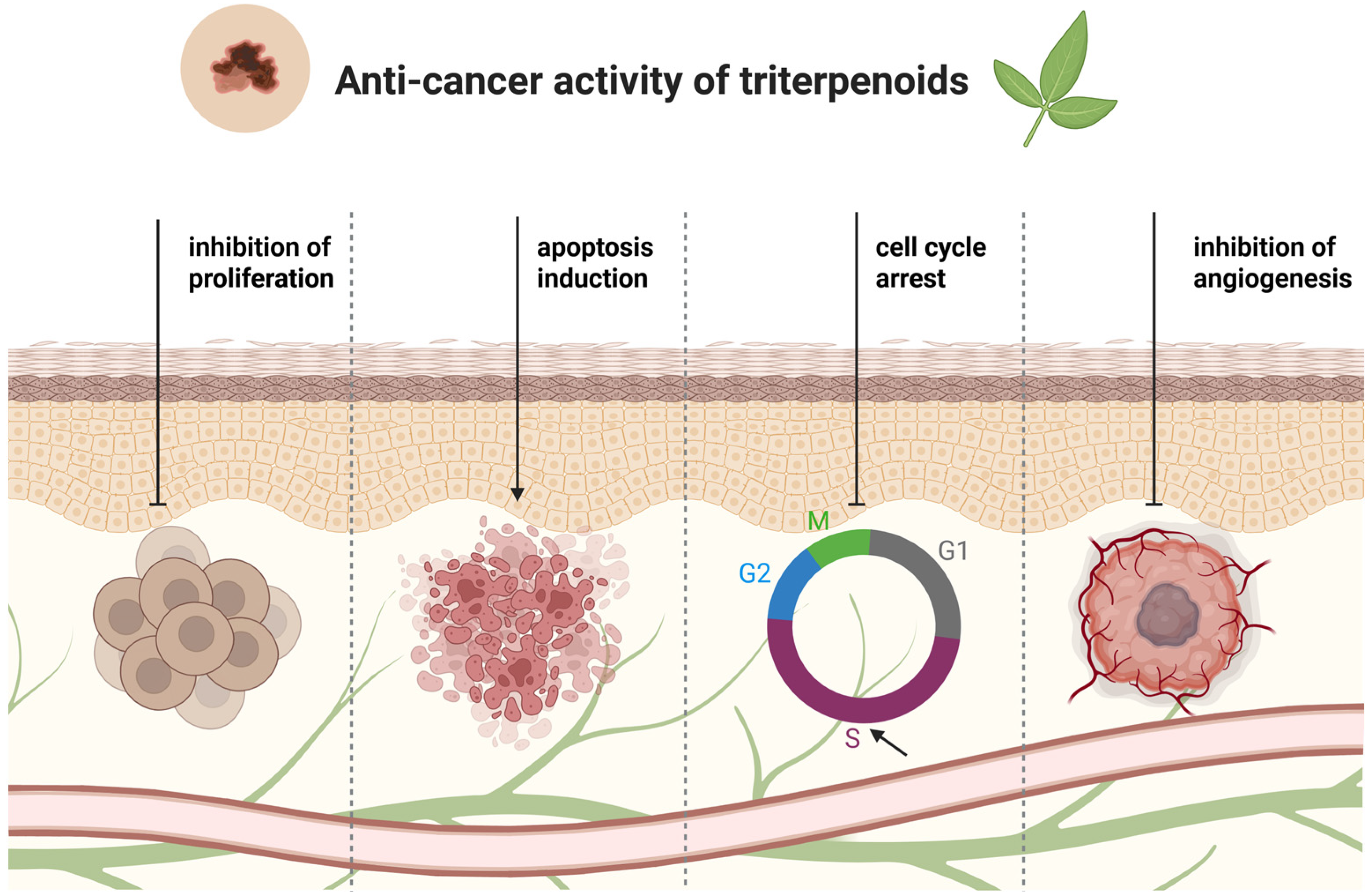 Cancers 17 01625 g006 Cancers 17 01625 g006