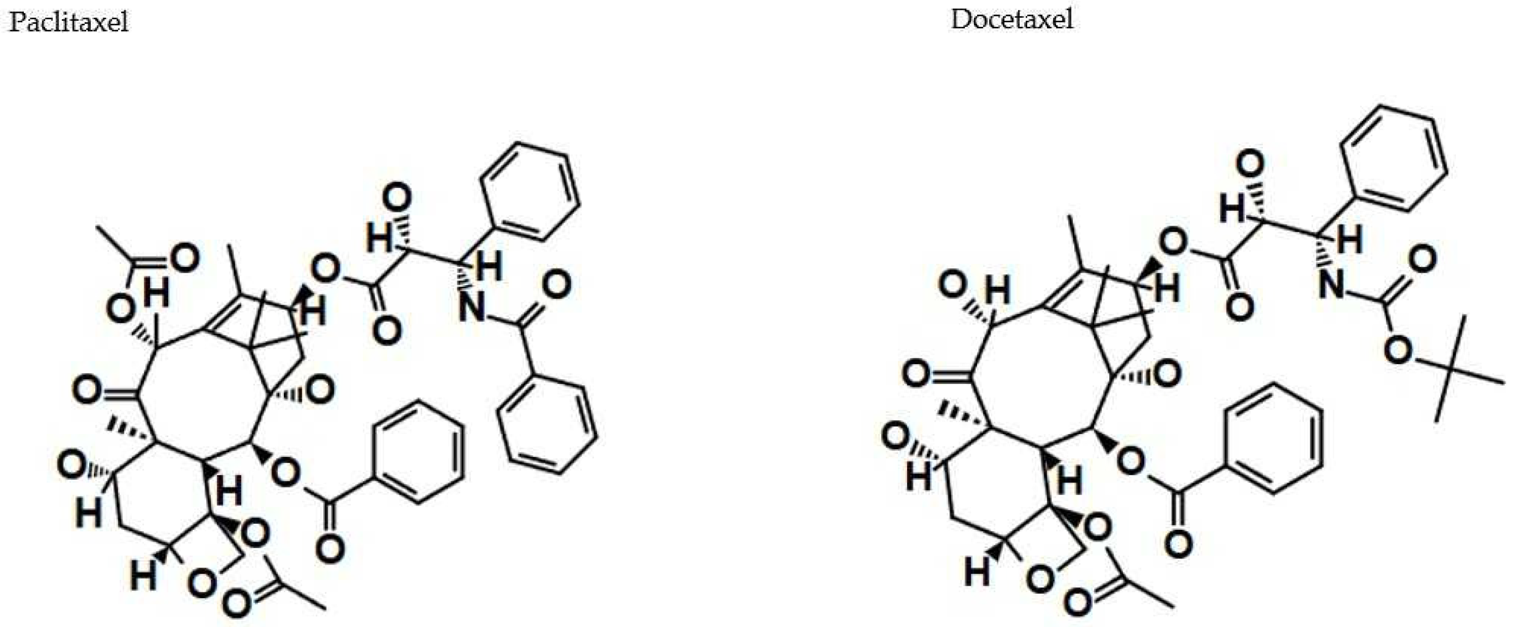 Cancers 17 01625 g007 Cancers 17 01625 g007