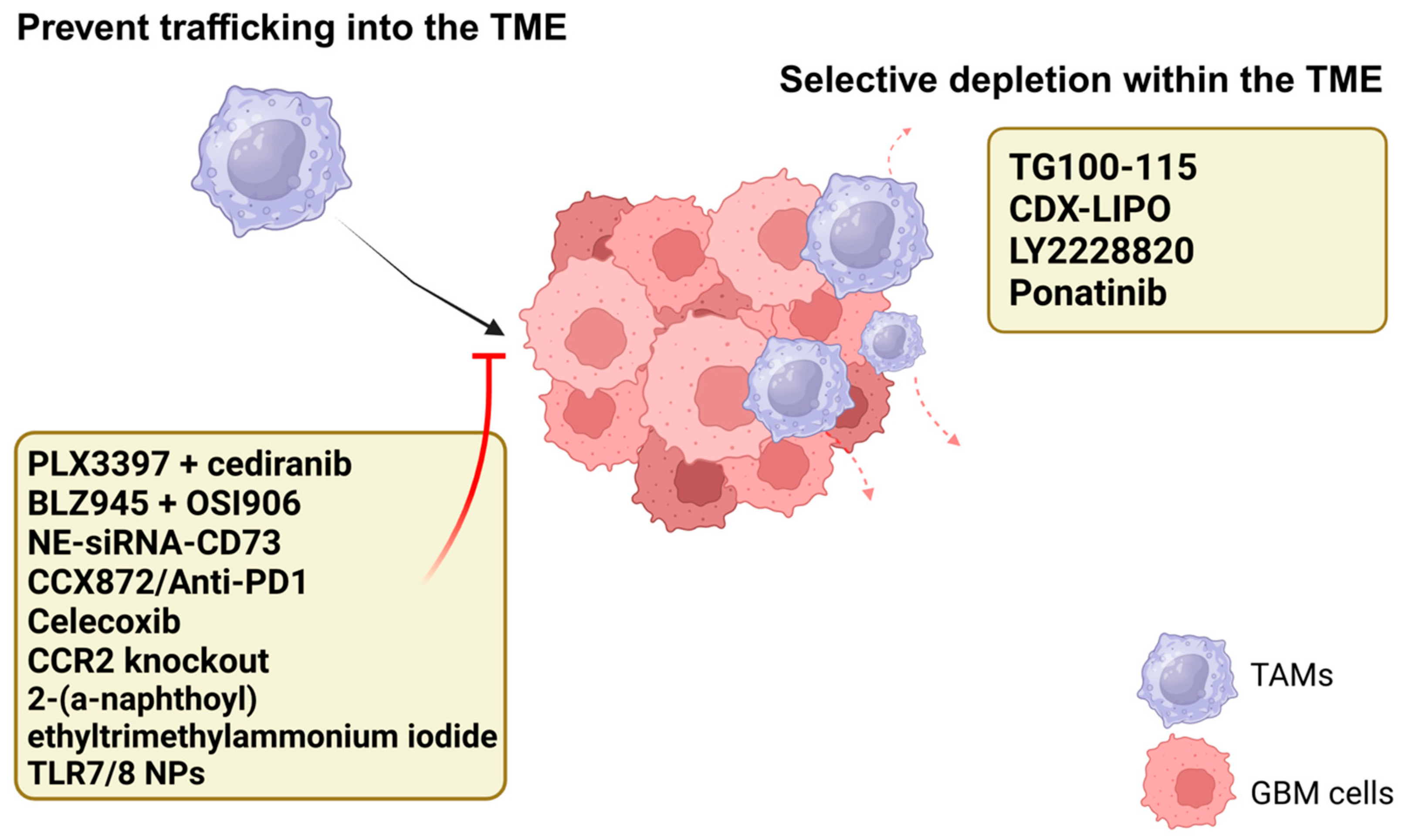Cancers 17 01631 g002