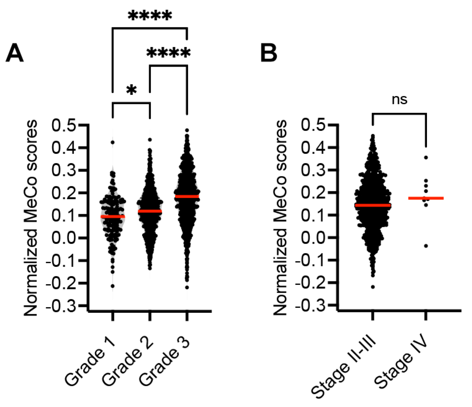 Cancers 17 01632 g003