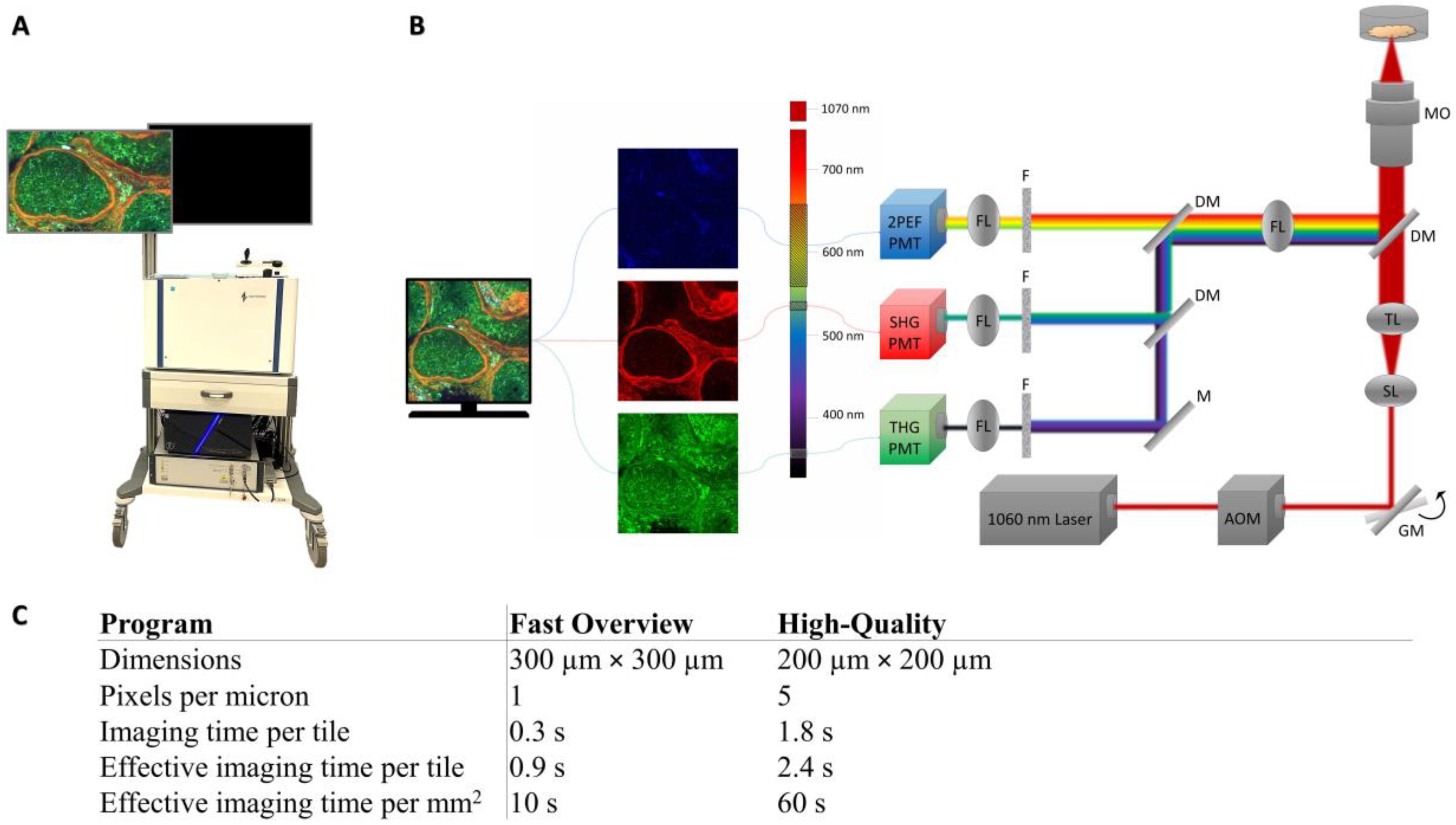 Cancers 17 01636 g001