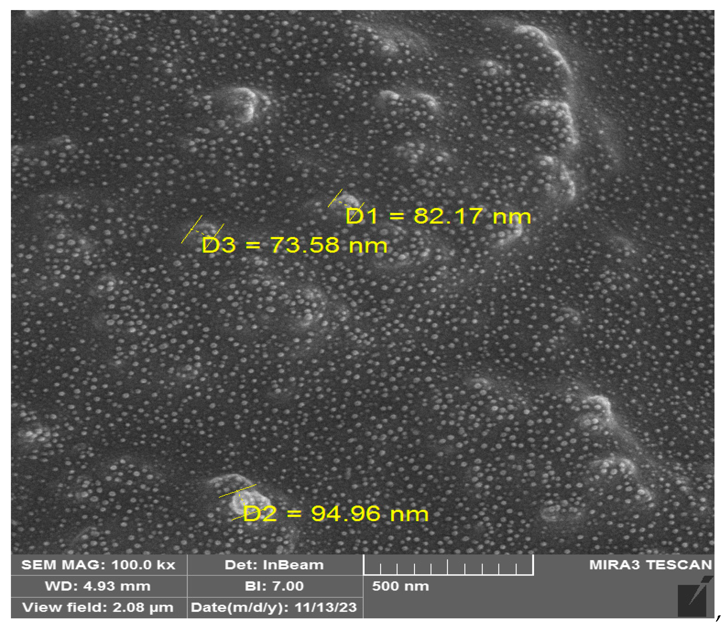 Cancers 17 01648 g001