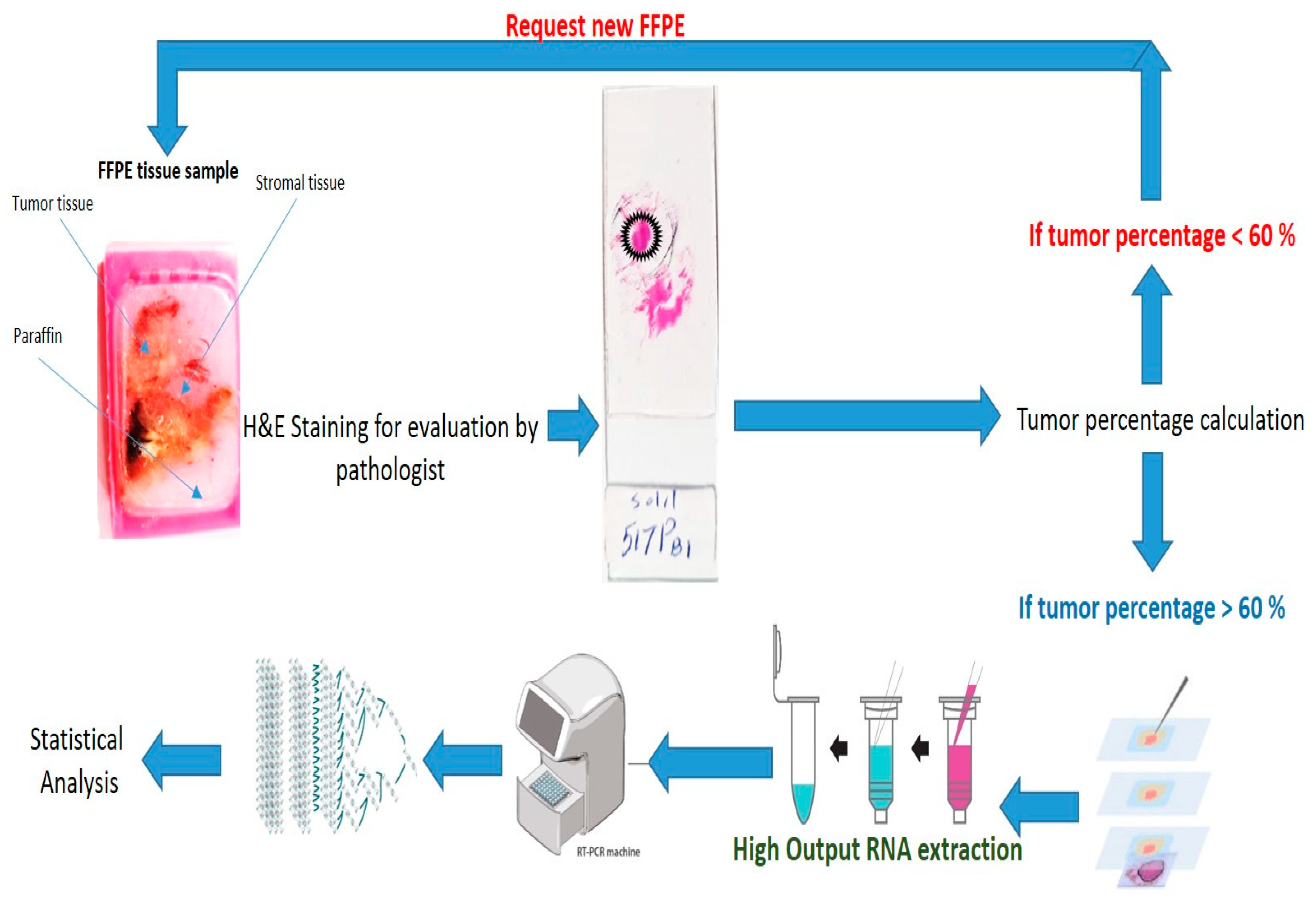 Cancers 17 01648 g009