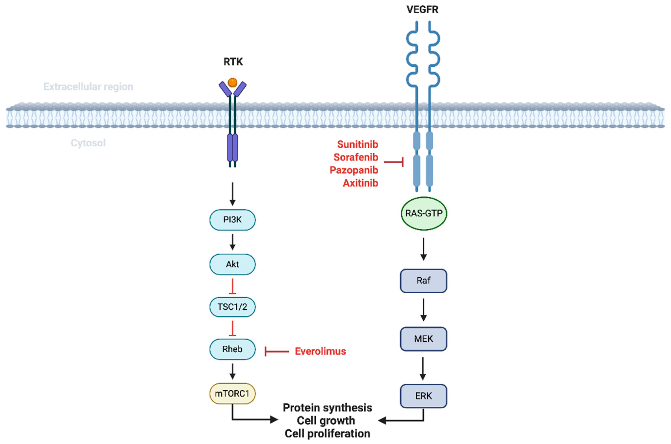 Cancers 17 01656 g001