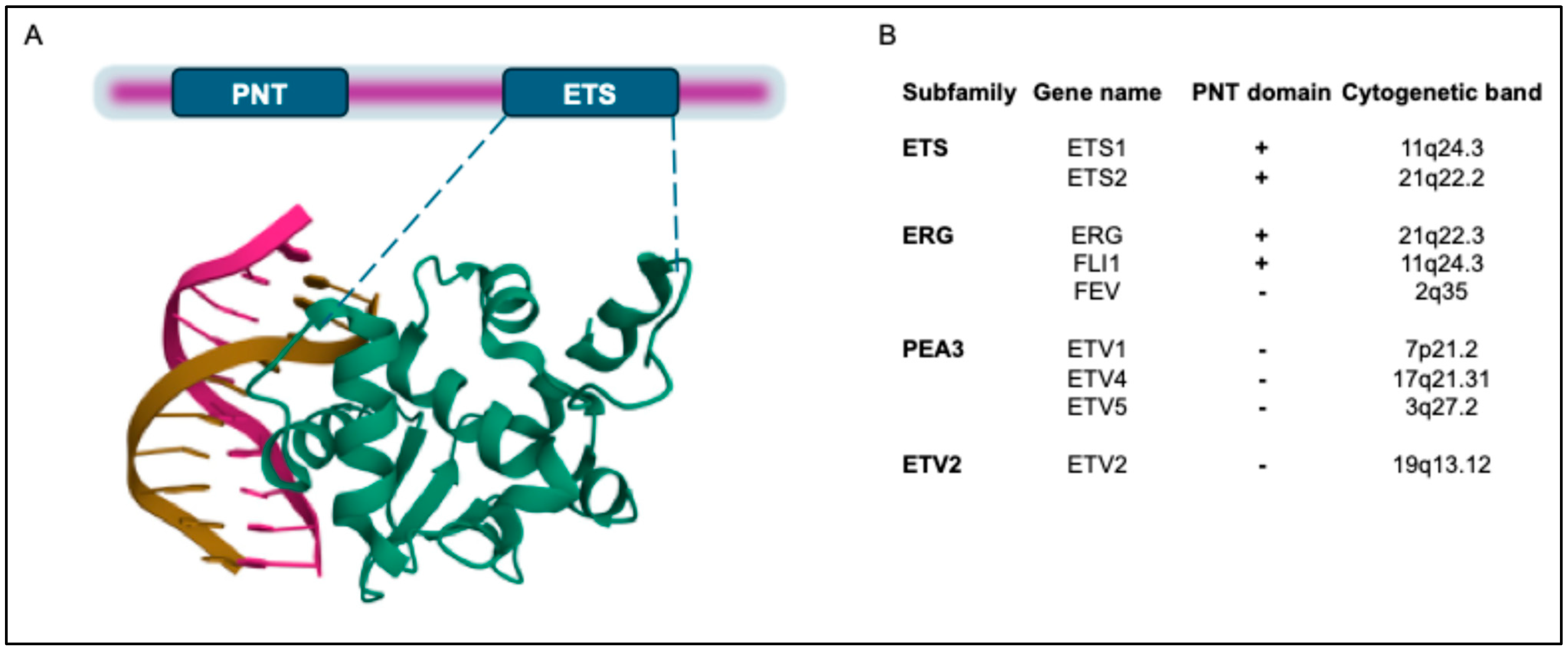 Cancers 17 01657 g001 Cancers 17 01657 g001