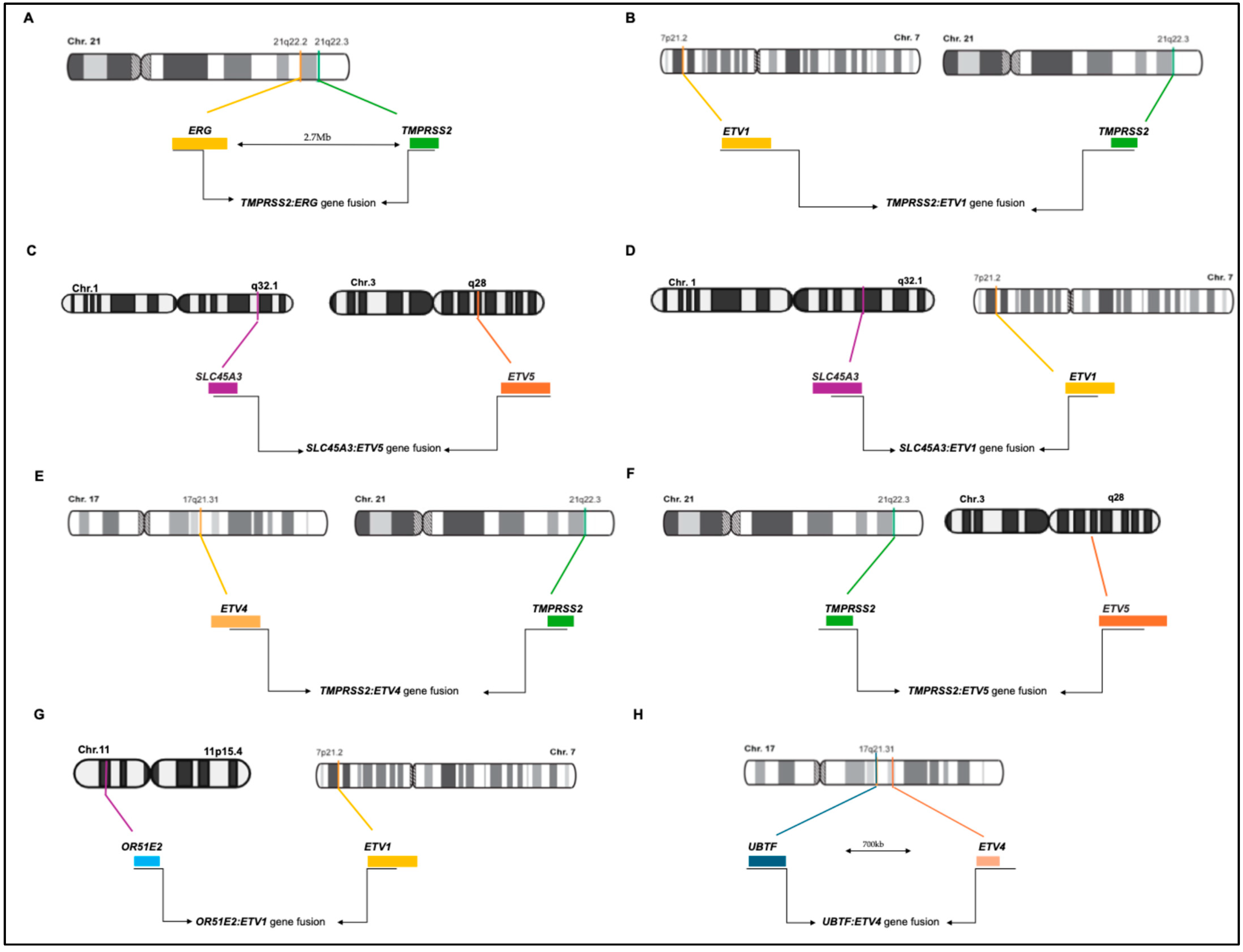 Cancers 17 01657 g002 Cancers 17 01657 g002