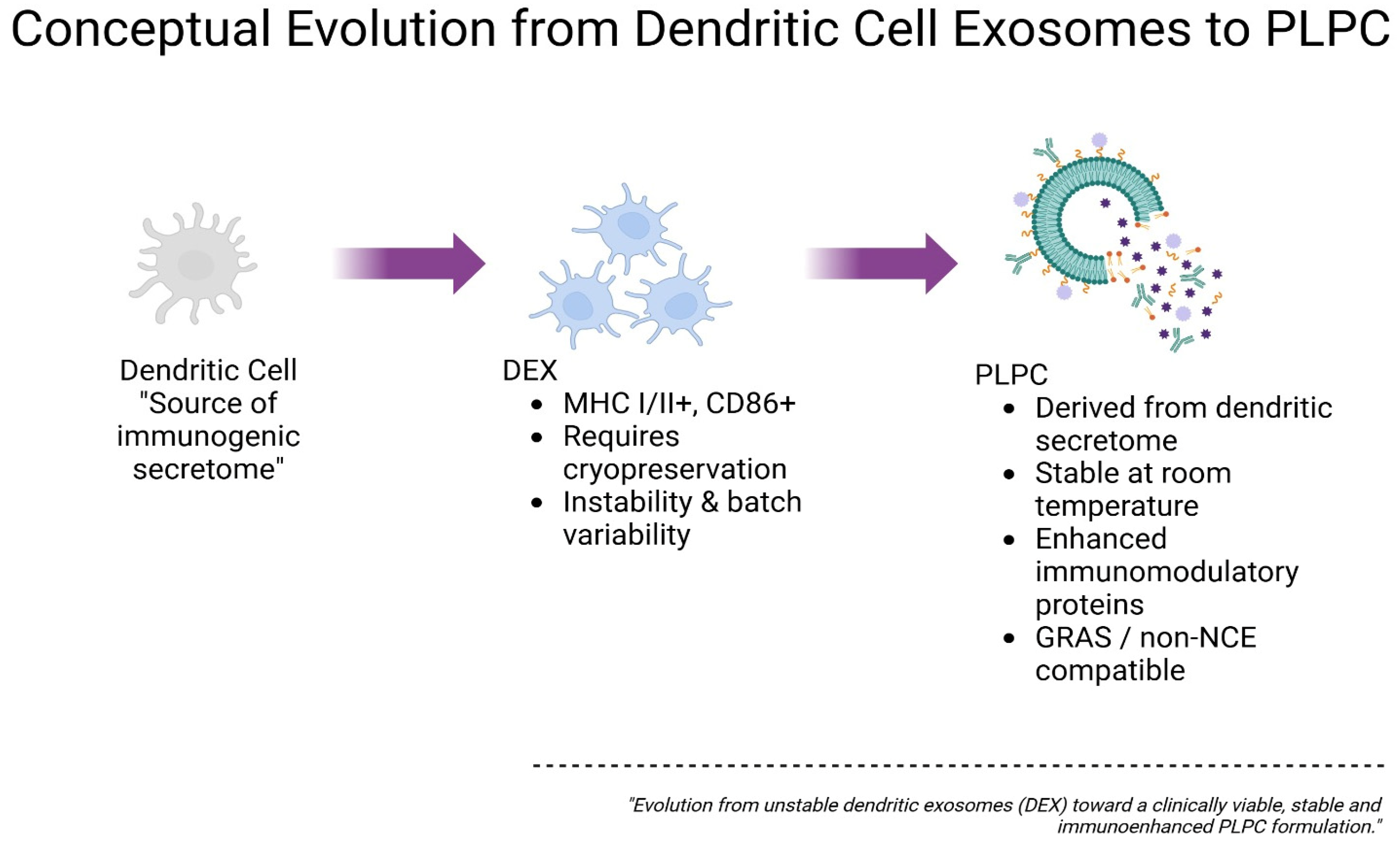 Cancers 17 01658 g001