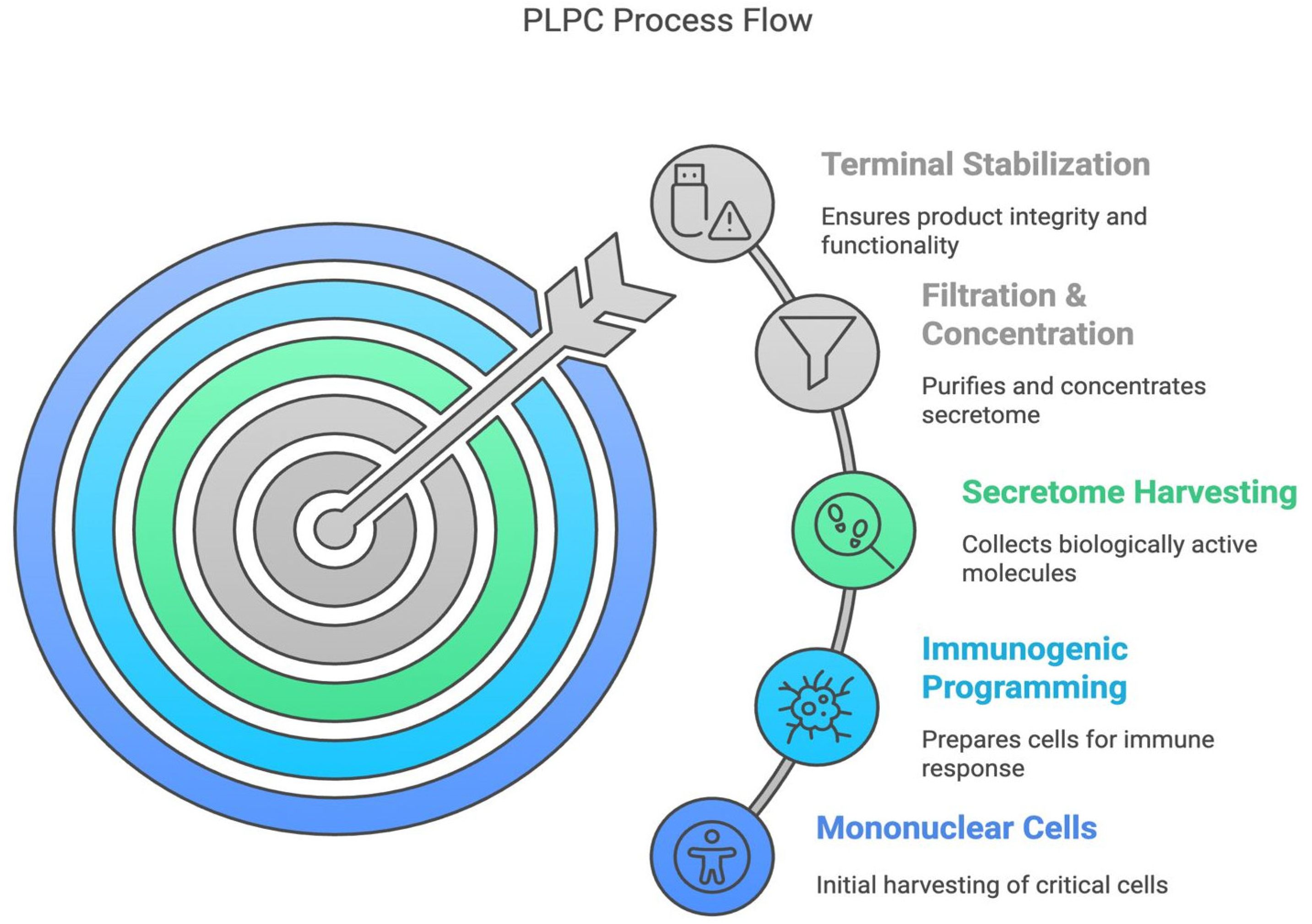 Cancers 17 01658 g002