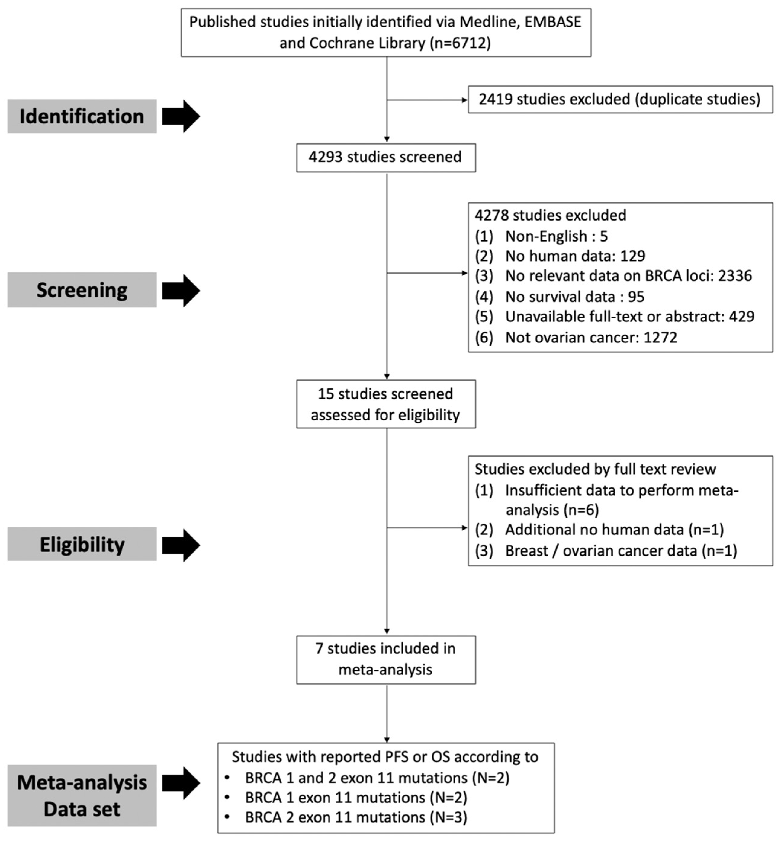 Cancers 17 01661 g001