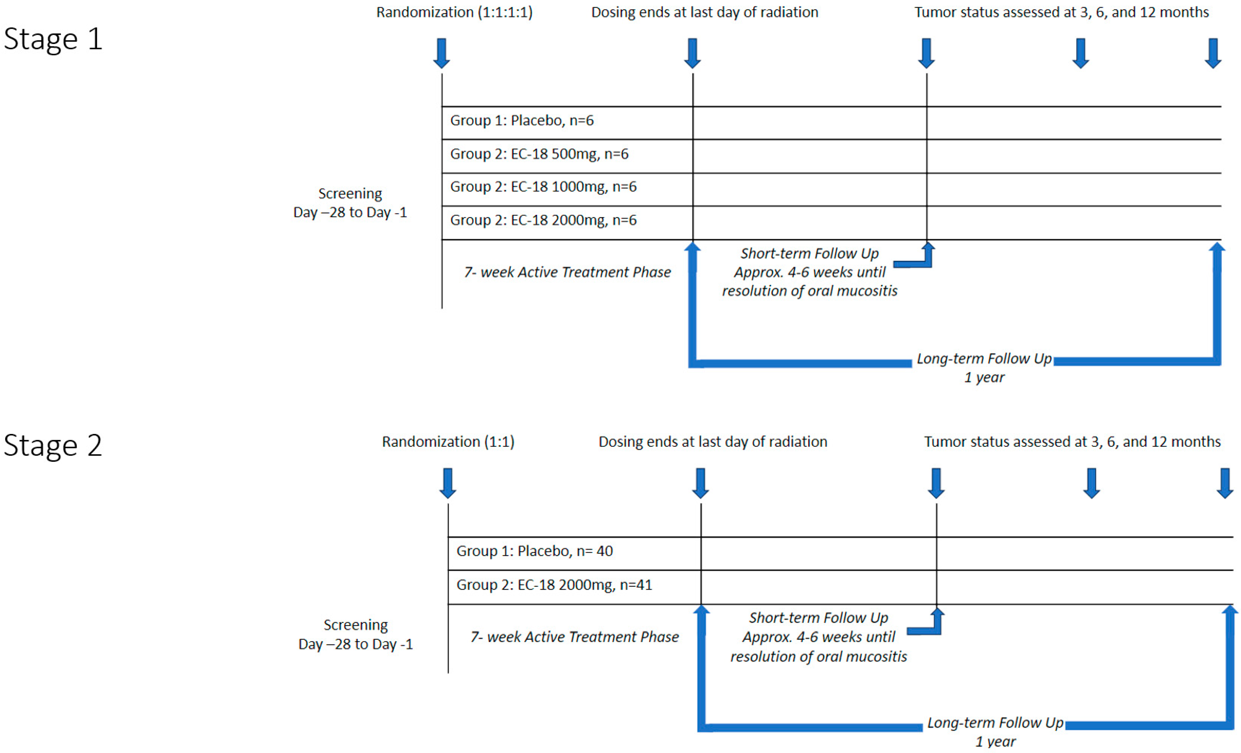 Cancers 17 01663 g001