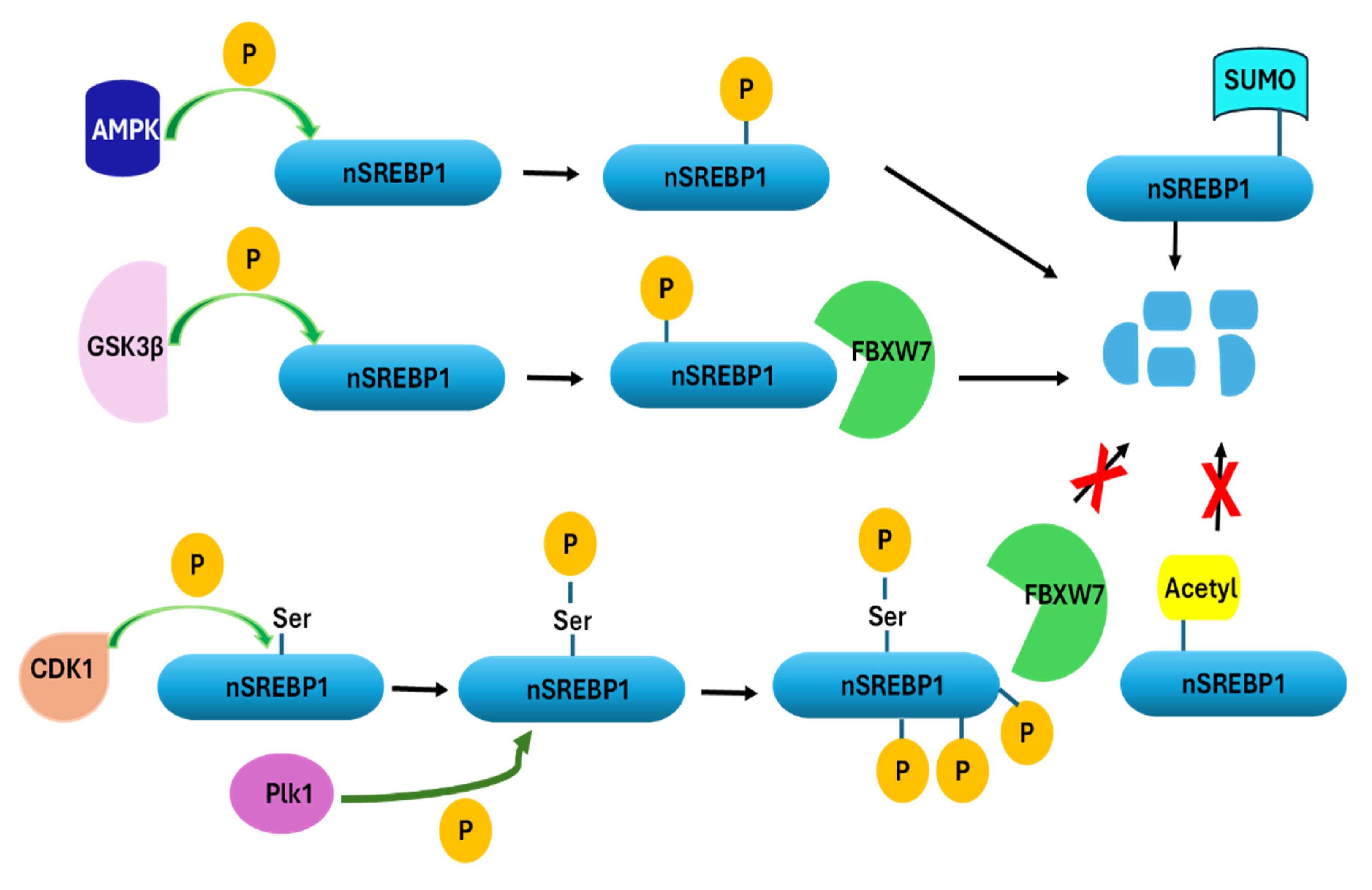 Cancers 17 01664 g002 Cancers 17 01664 g002