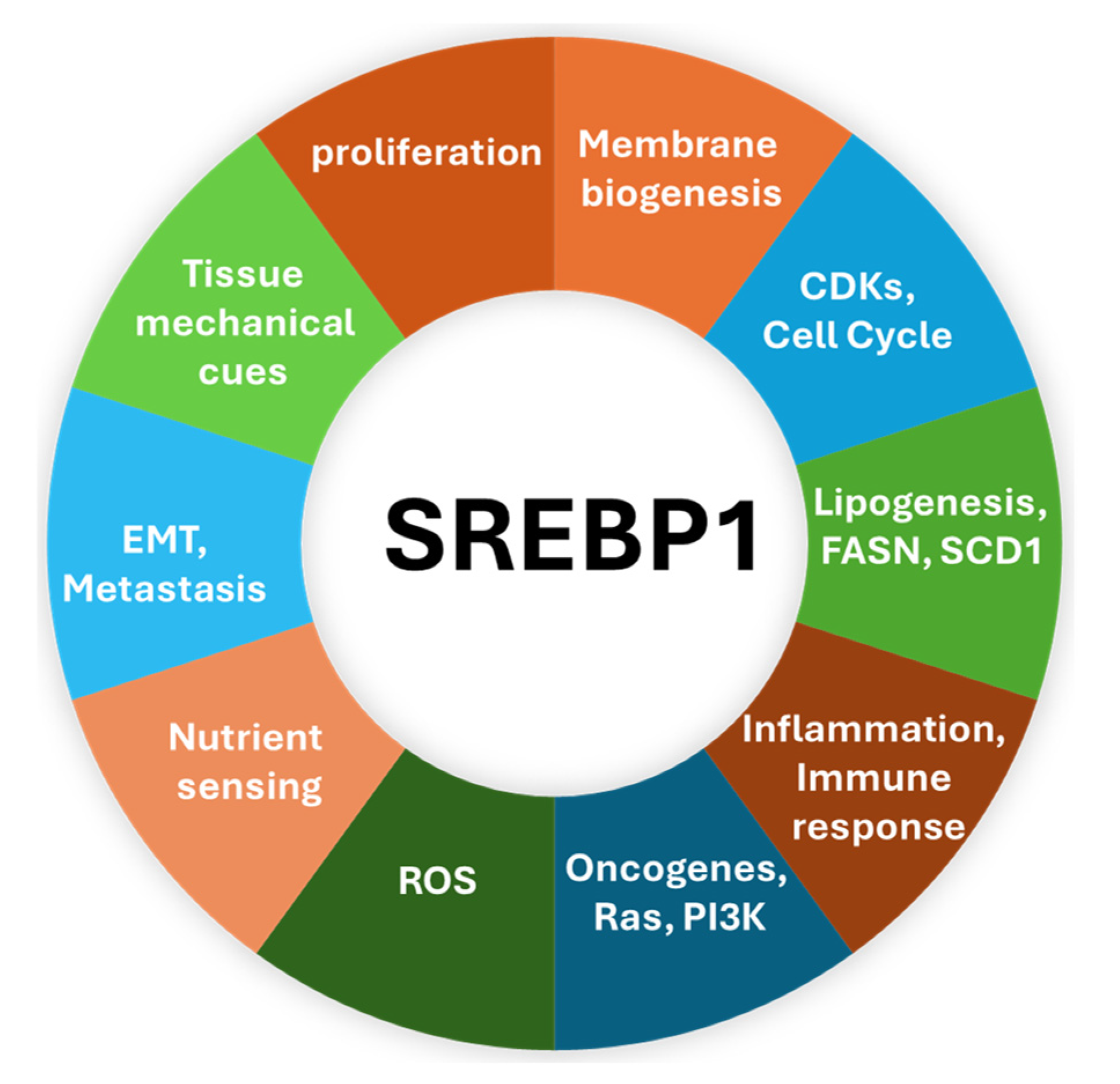 Cancers 17 01664 g005 Cancers 17 01664 g005