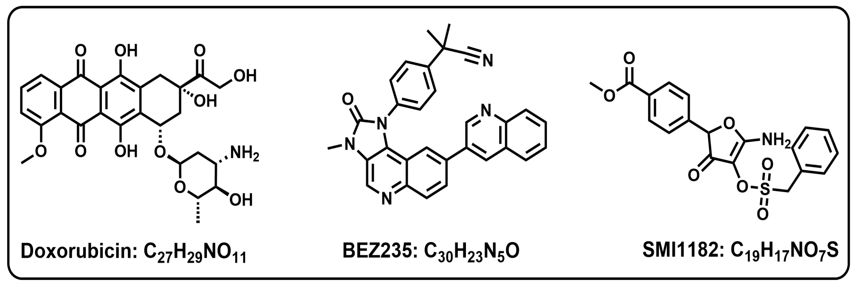 Cancers 17 01671 g002