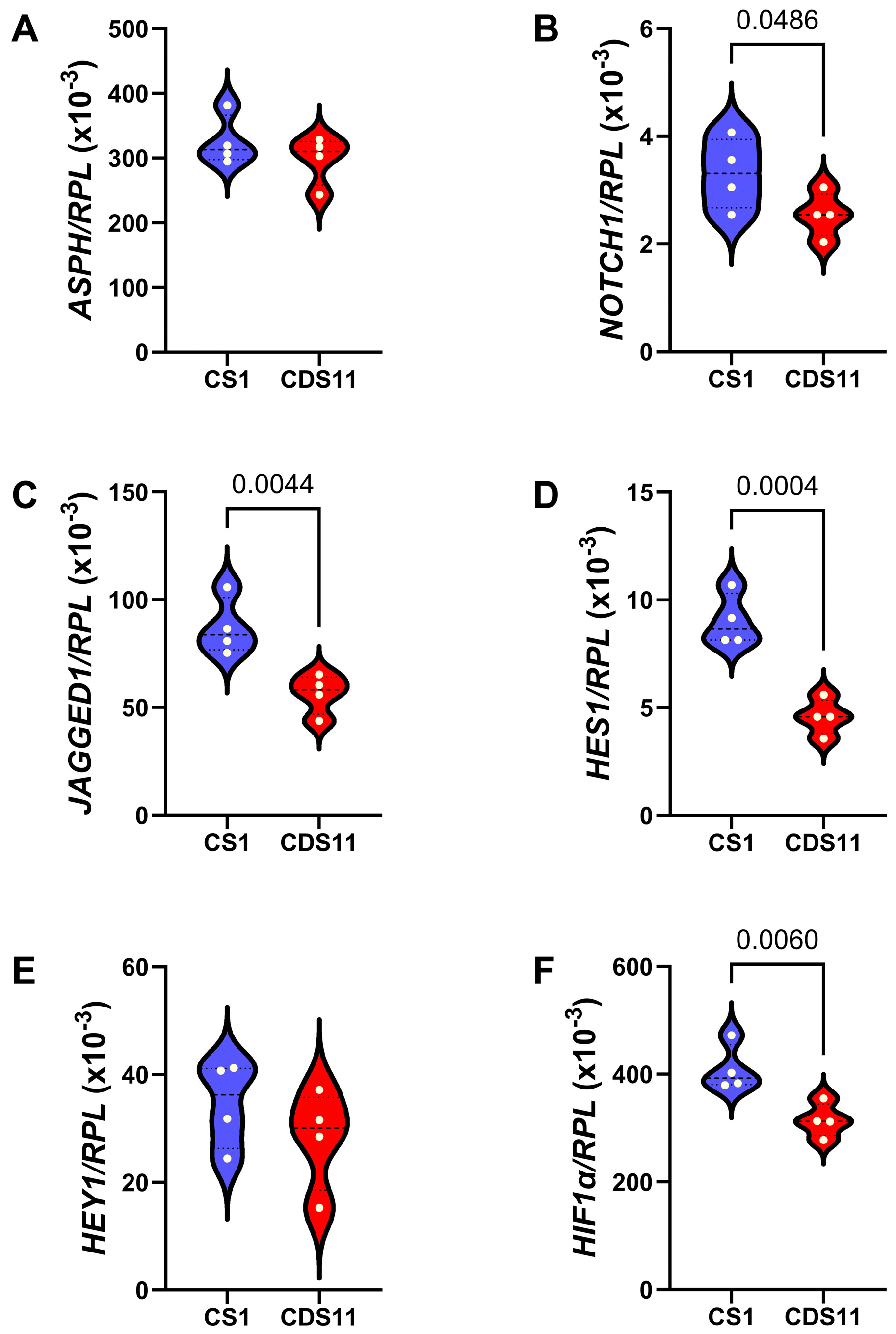 Cancers 17 01671 g004