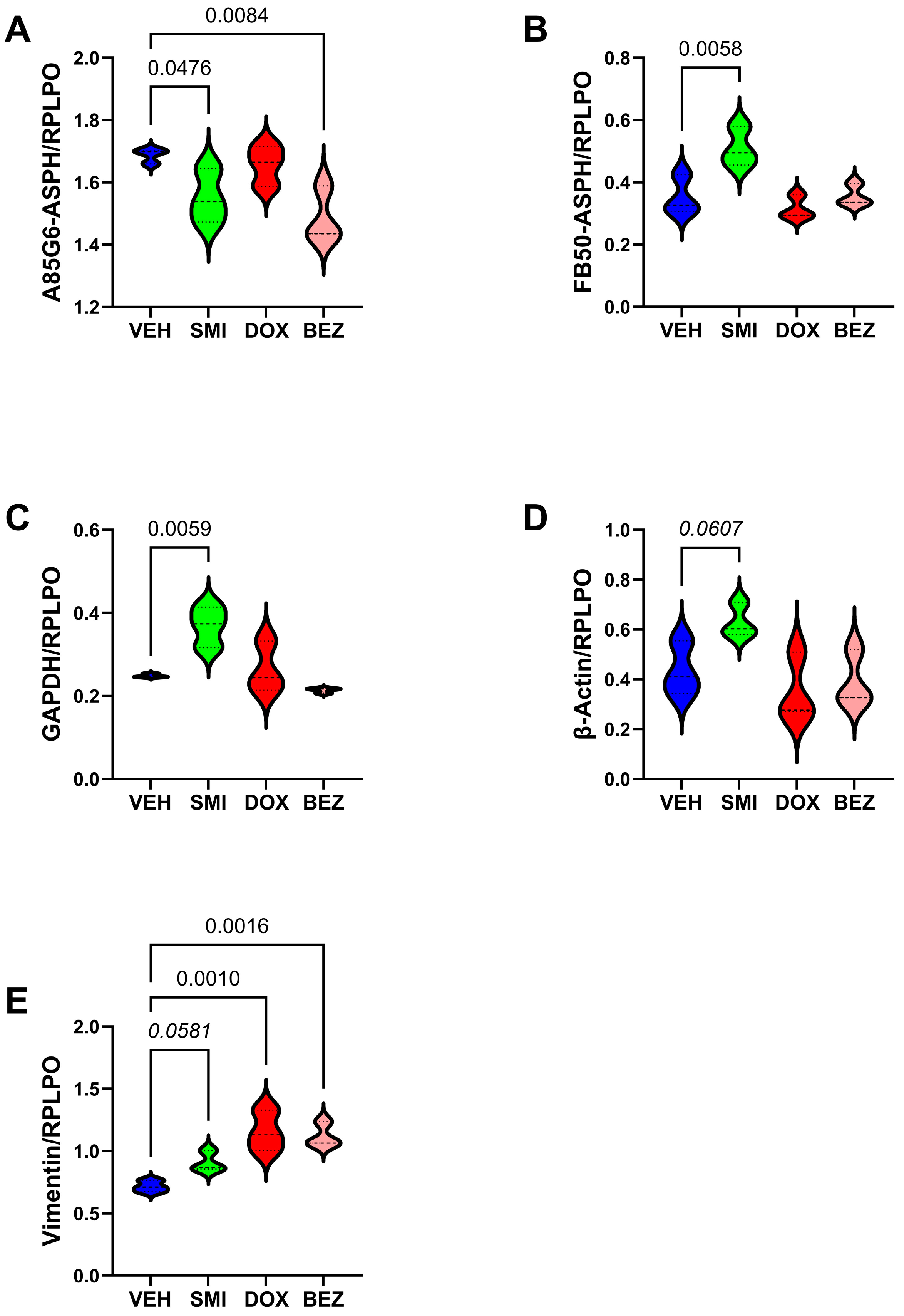 Cancers 17 01671 g010
