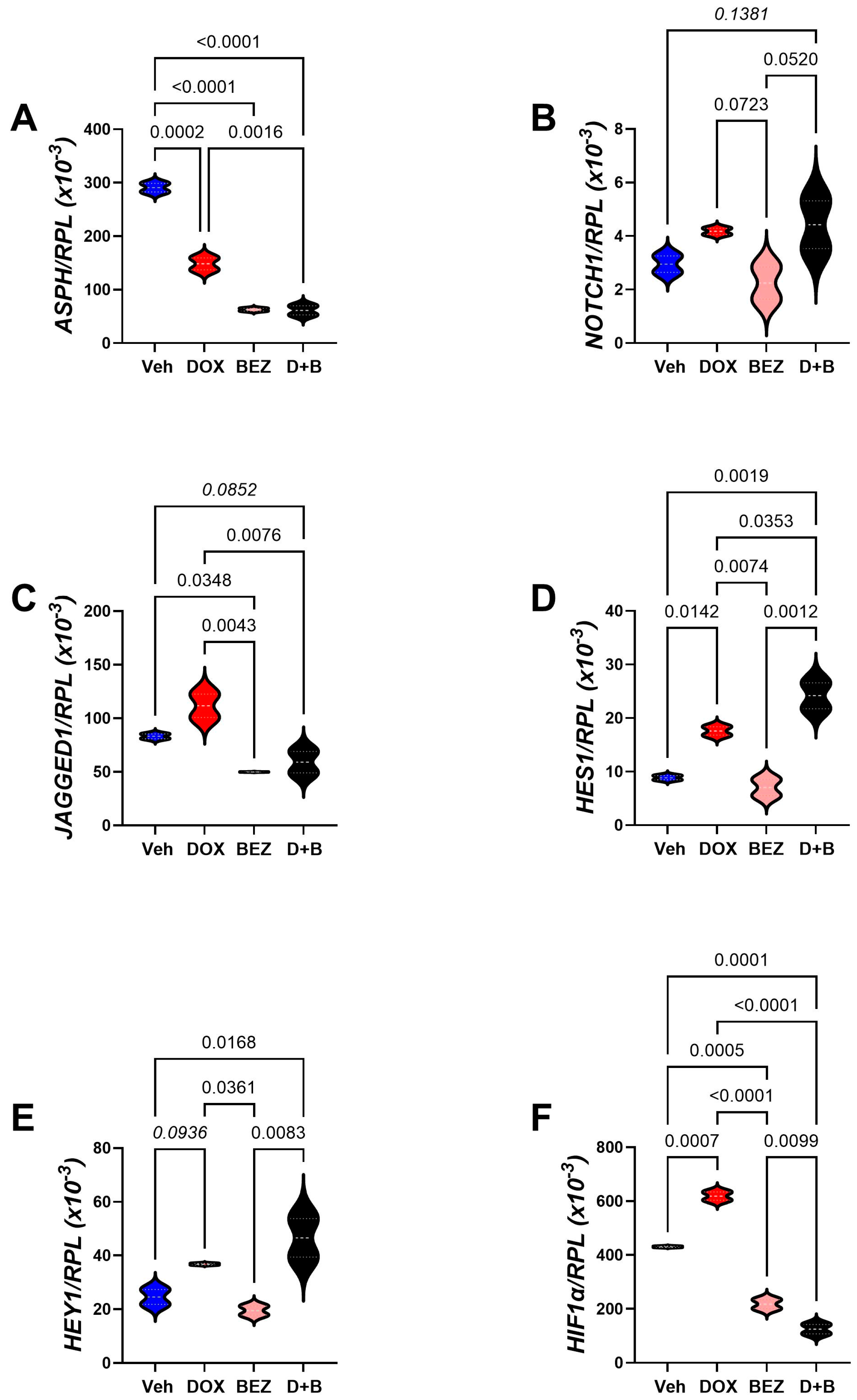Cancers 17 01671 g013