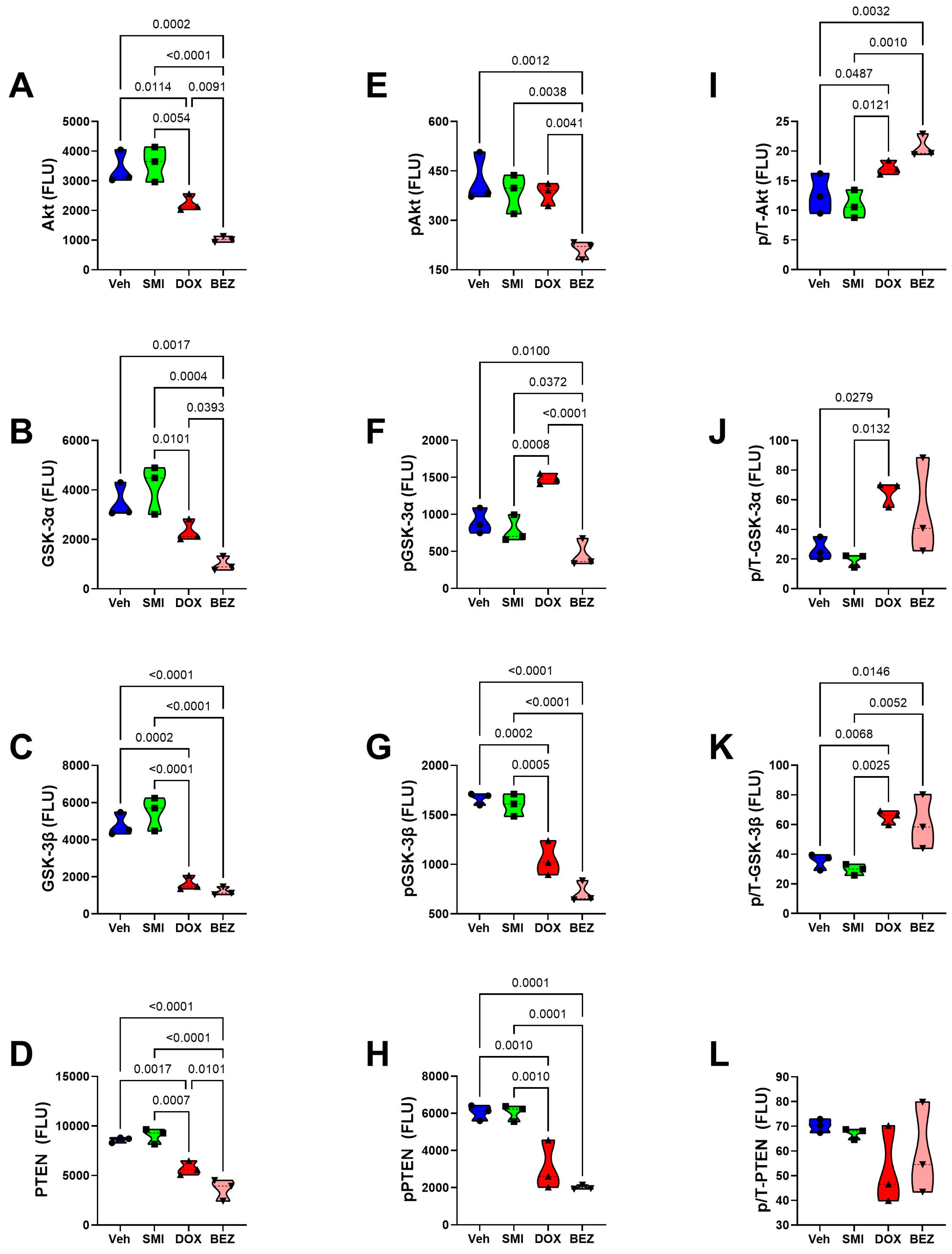 Cancers 17 01671 g017