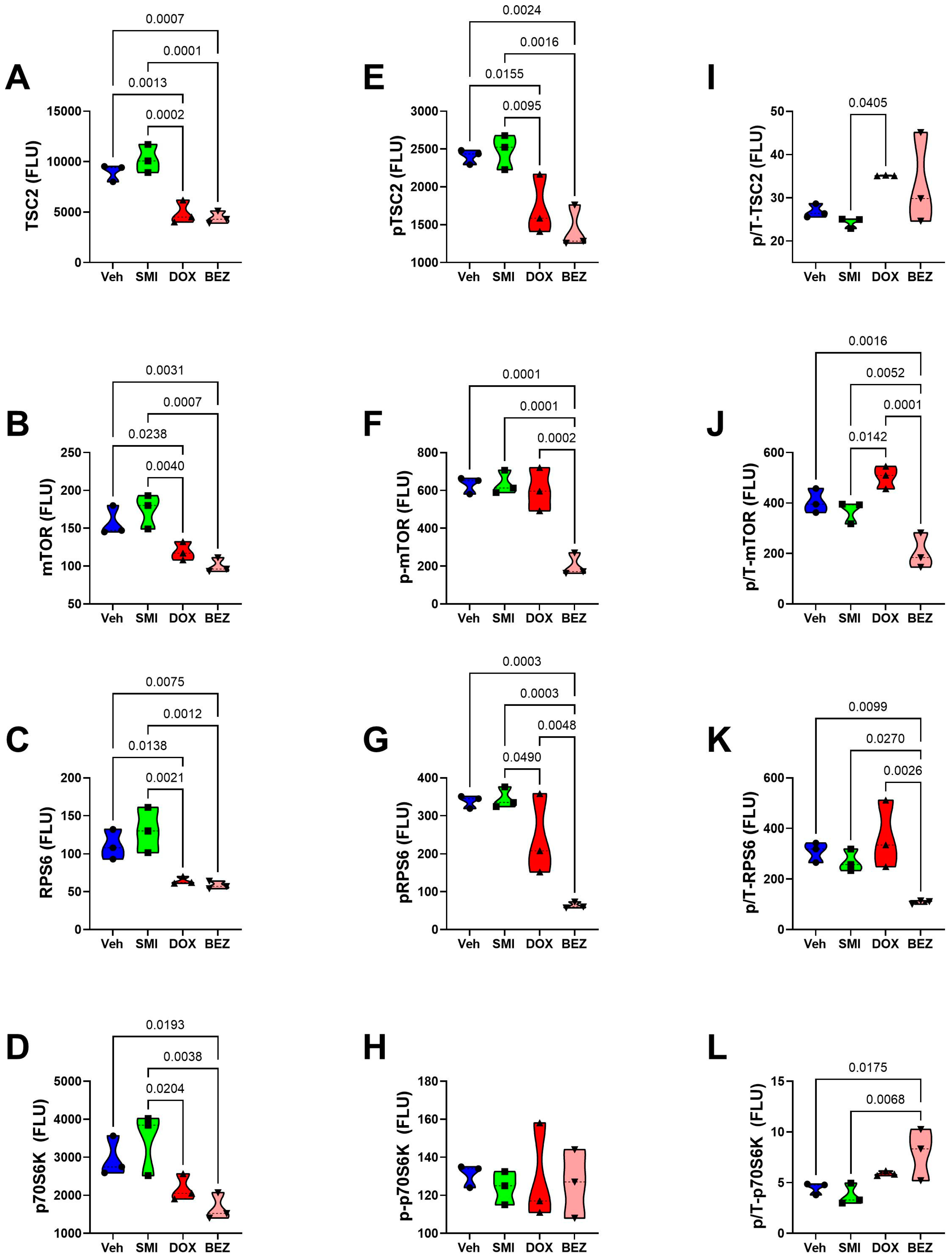 Cancers 17 01671 g019