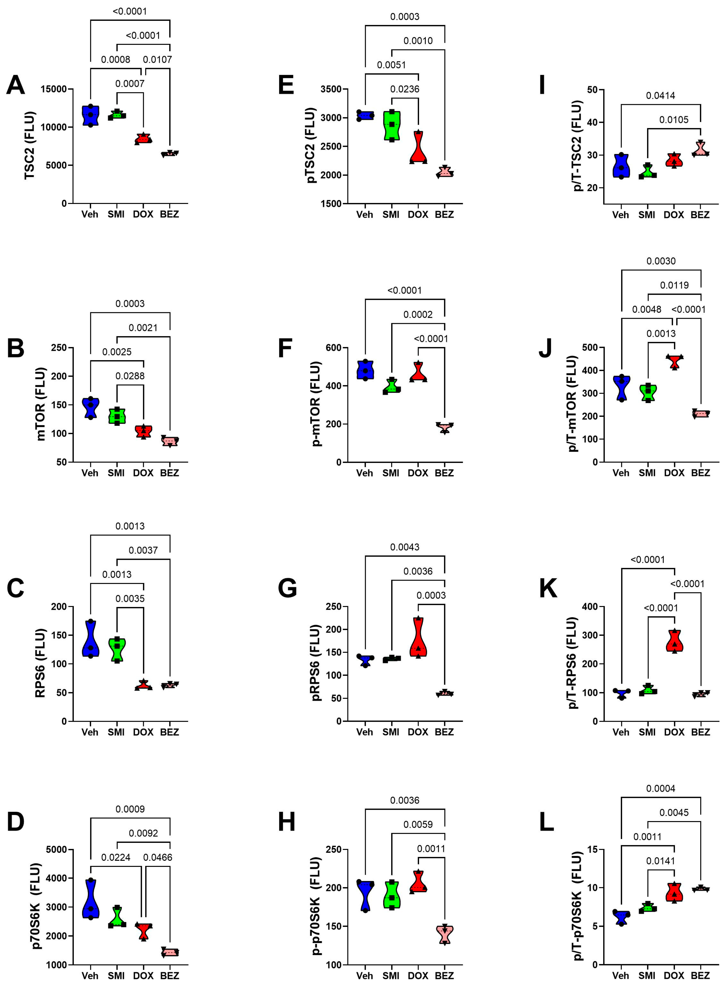Cancers 17 01671 g020