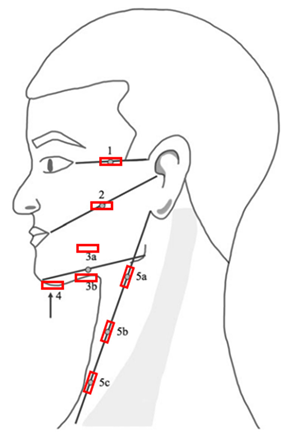 Cancers 17 01672 i001