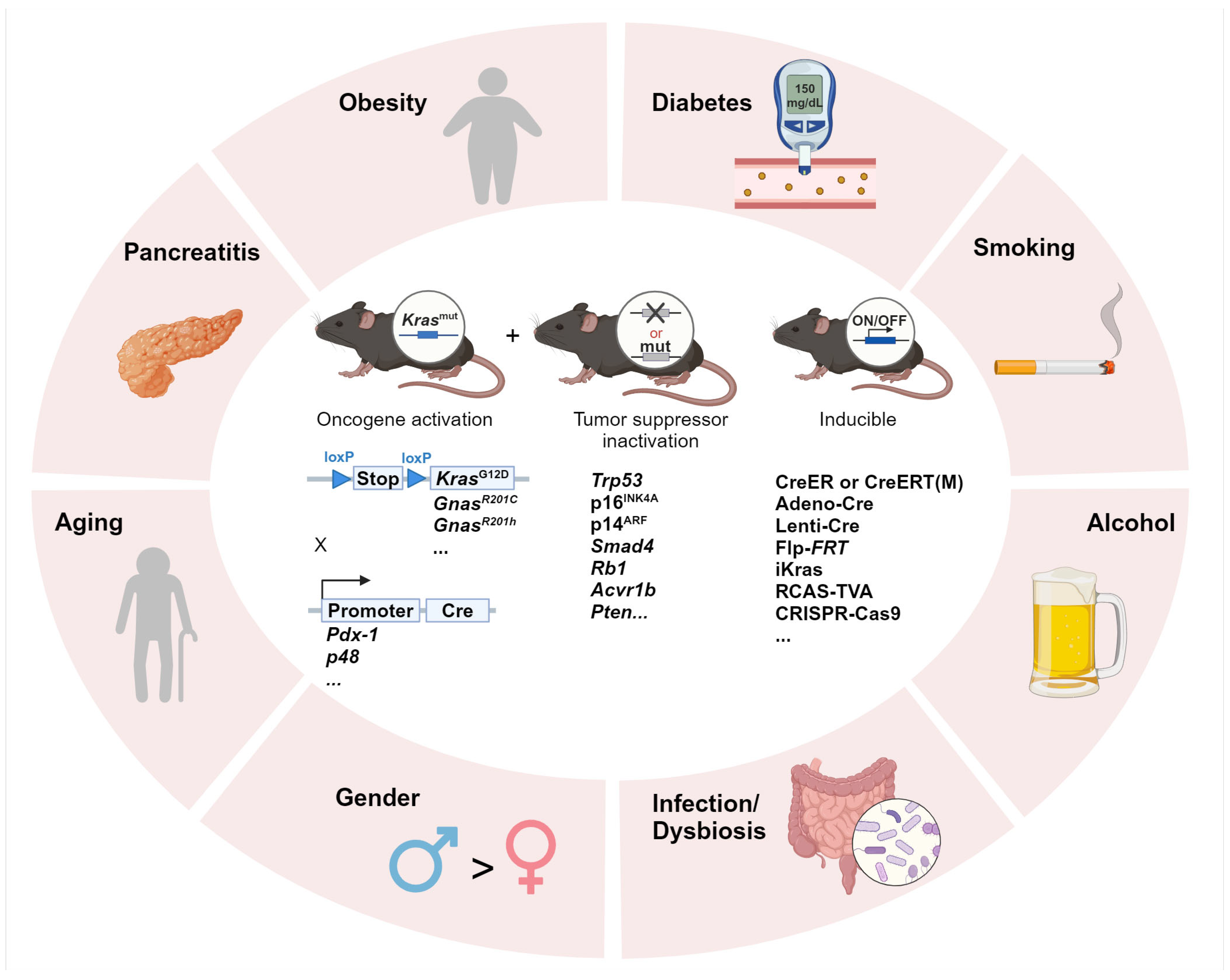 Cancers 17 01676 g001 Cancers 17 01676 g001