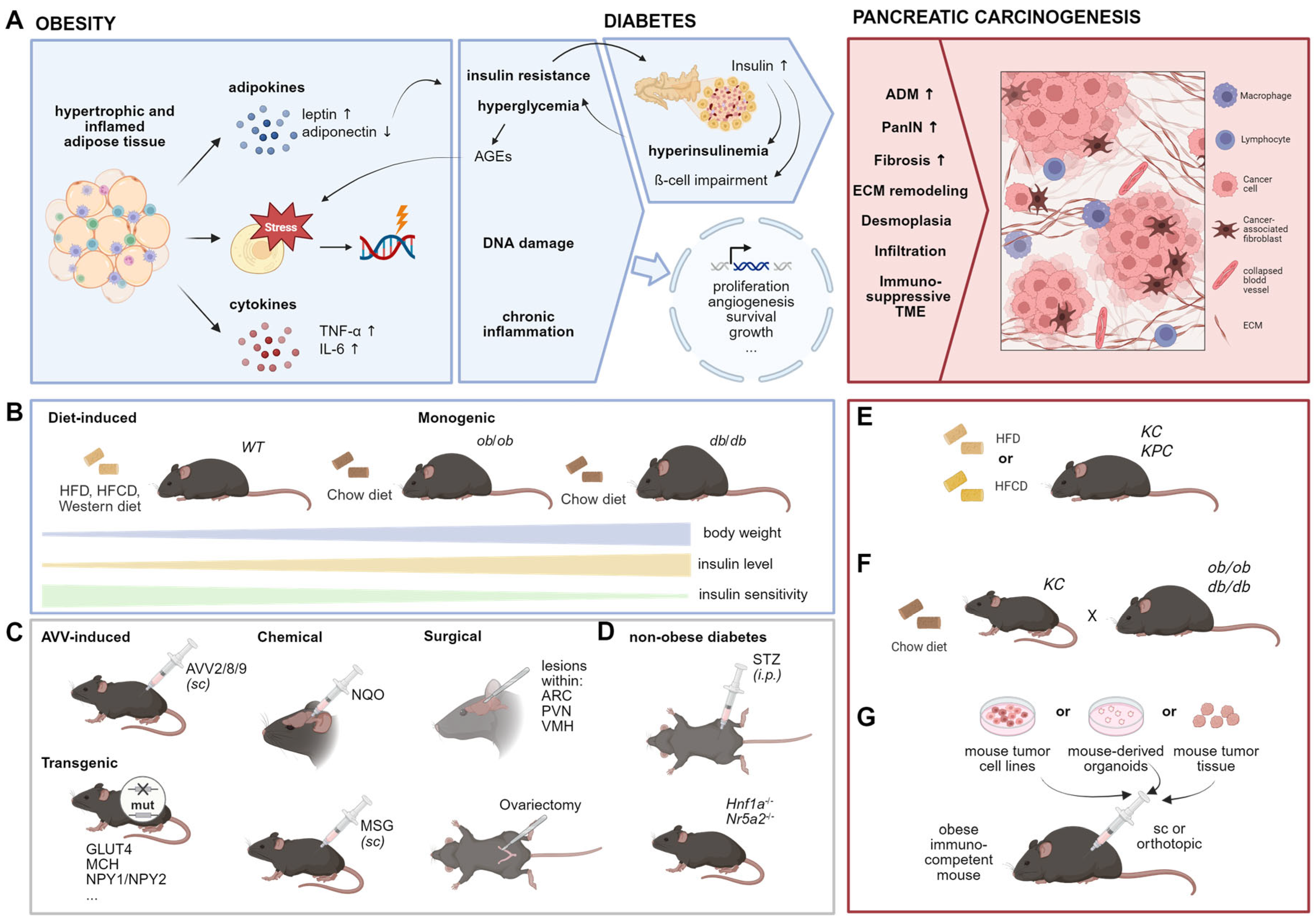 Cancers 17 01676 g004 Cancers 17 01676 g004
