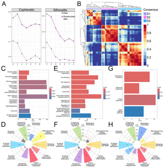 Exploratory Analysis of Molecular Subtypes in Early-Stage