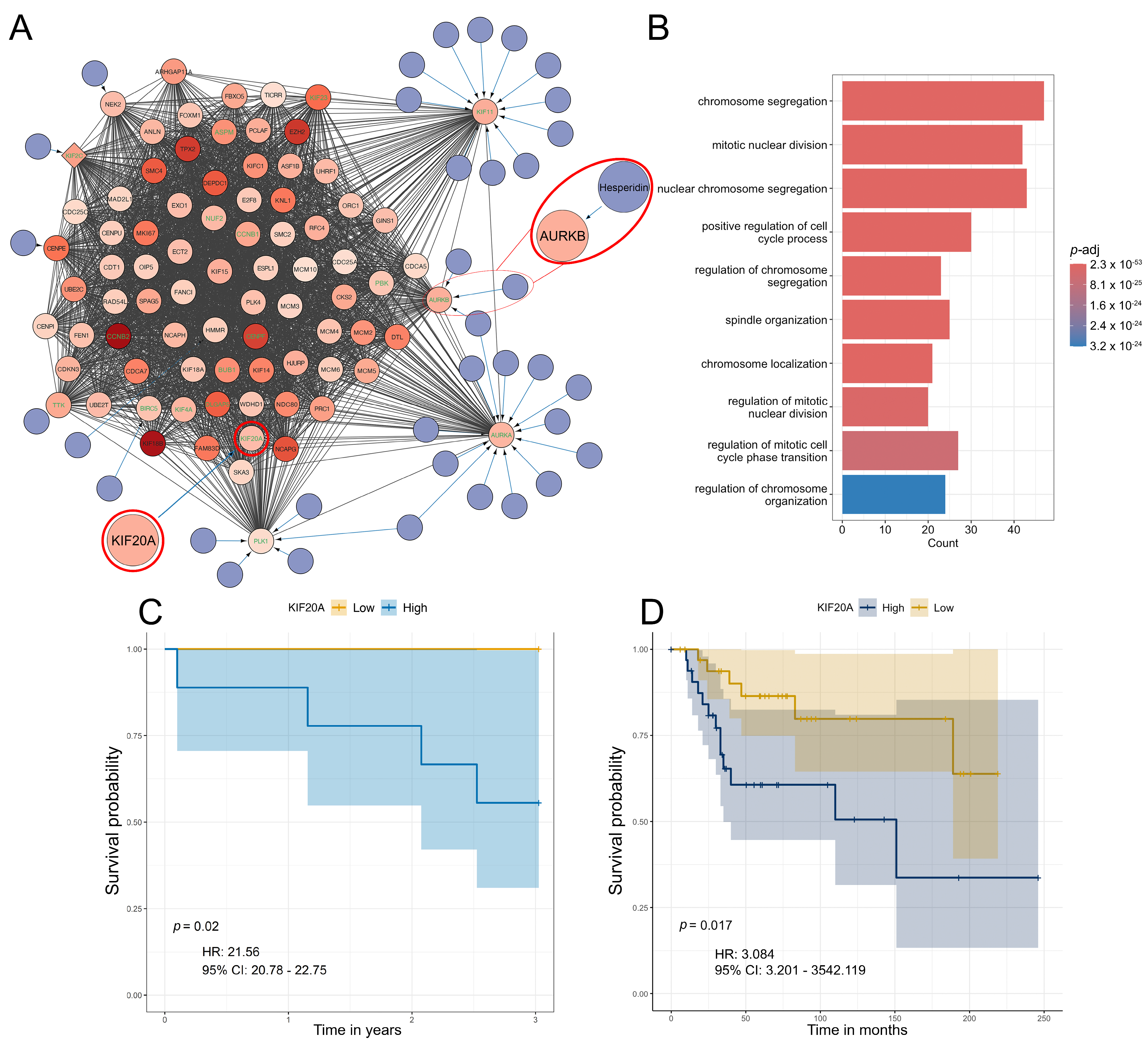 Cancers 17 01677 g005