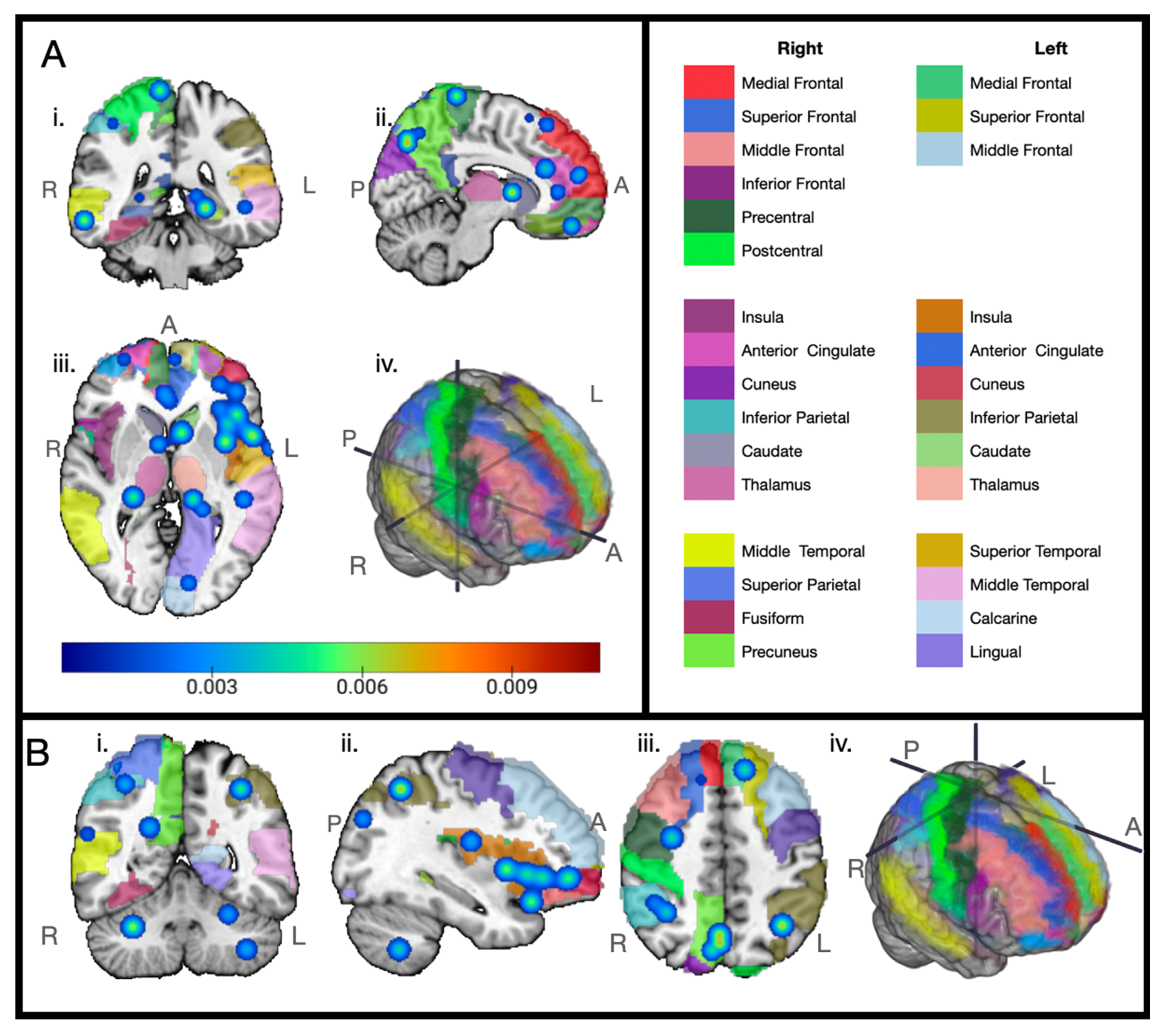 Cancers 17 01684 g003