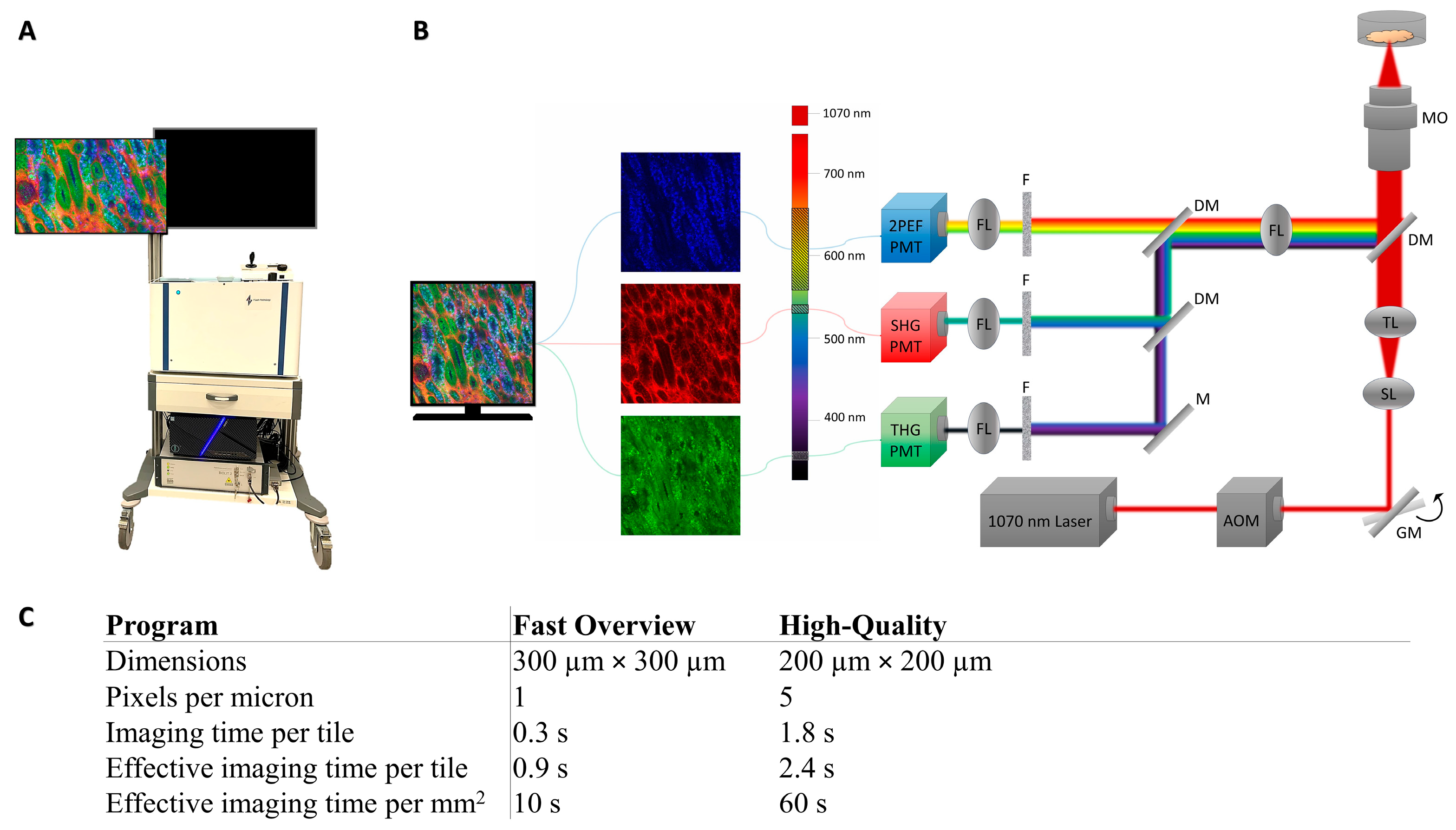 Cancers 17 01693 g001