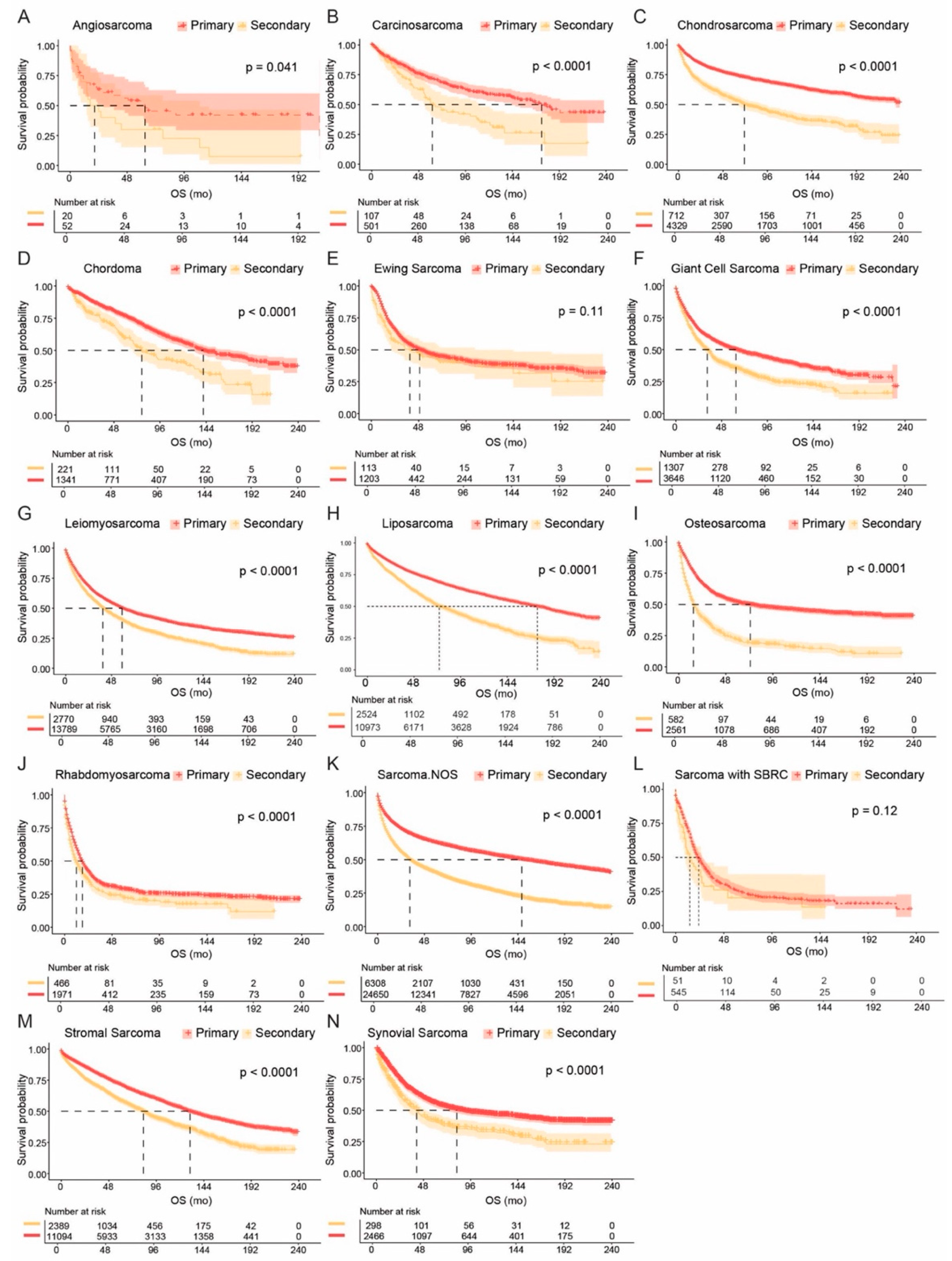 Cancers 17 01706 g003