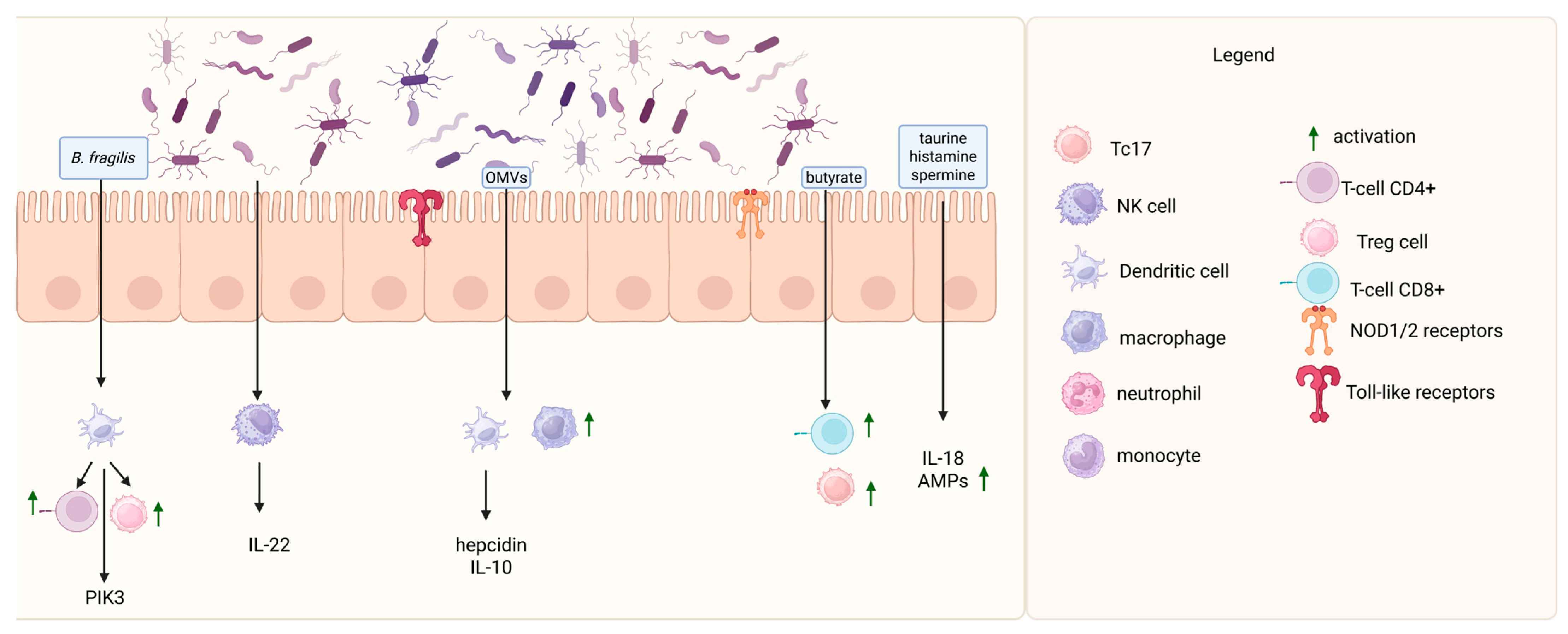 Cancers 17 01709 g001 Cancers 17 01709 g001