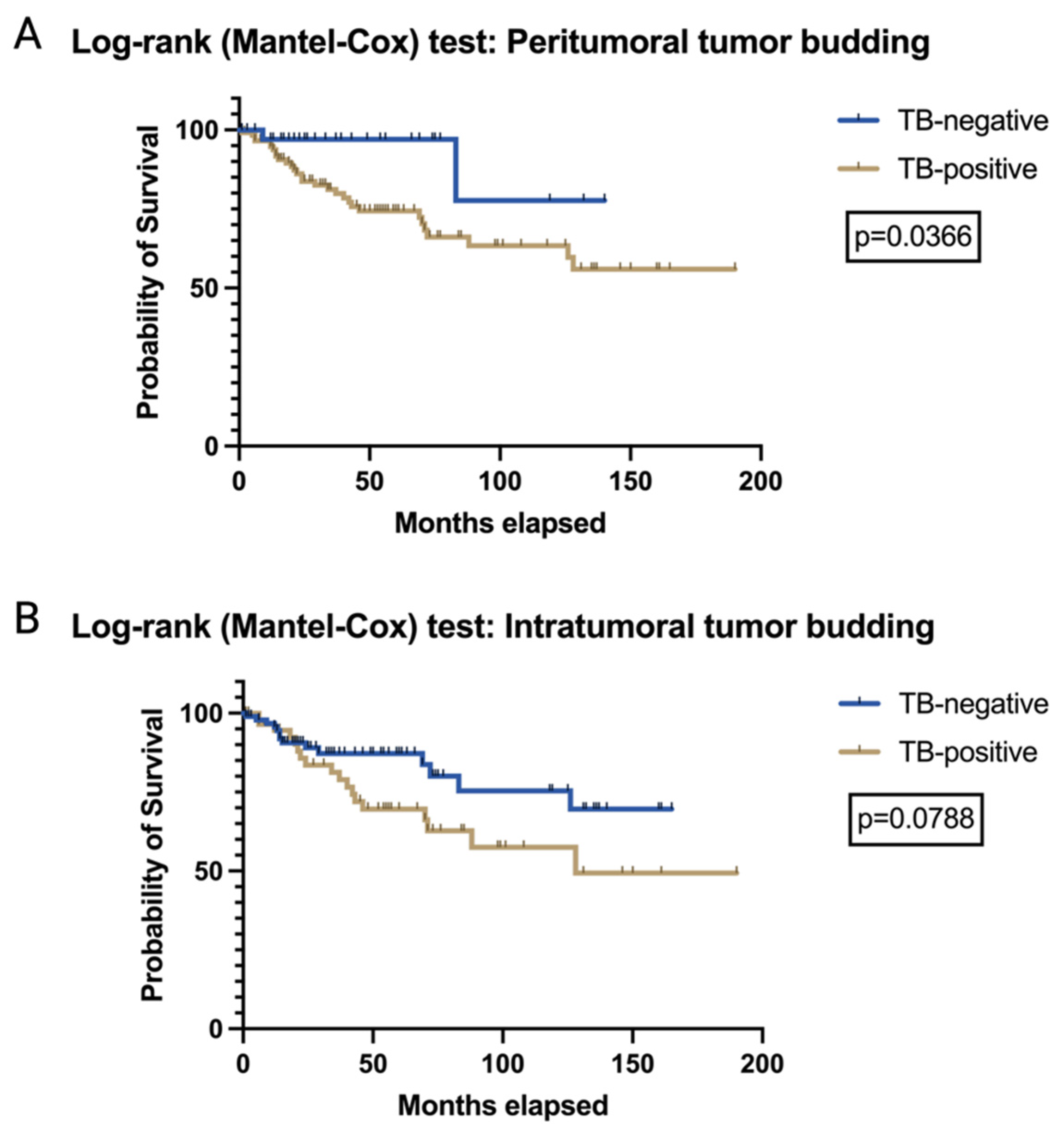 Cancers 17 01718 g002