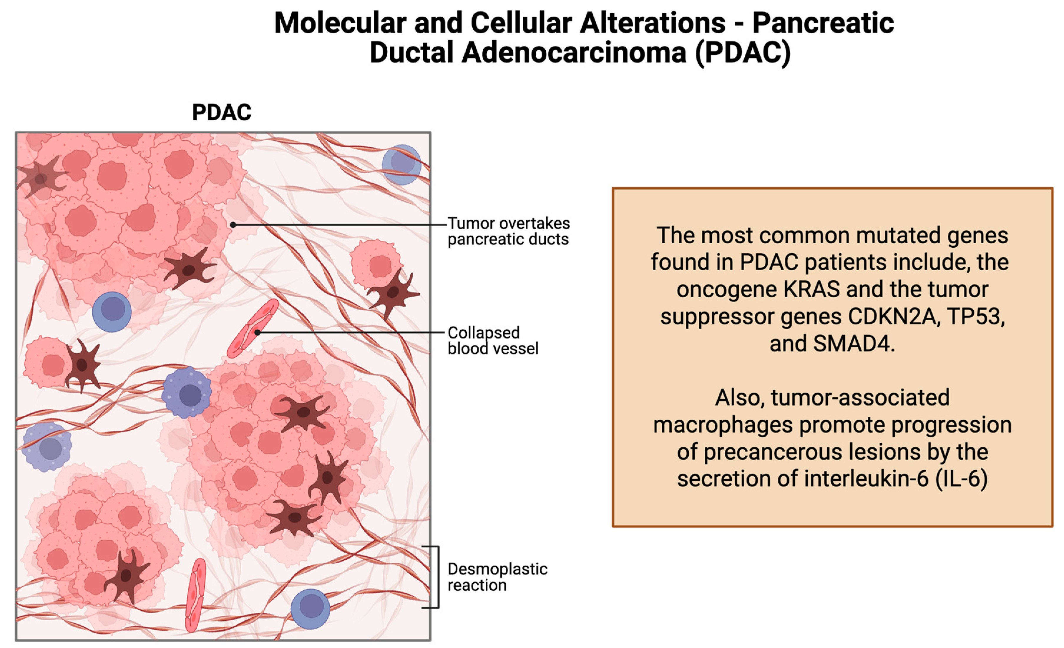 Cancers 17 01726 g002