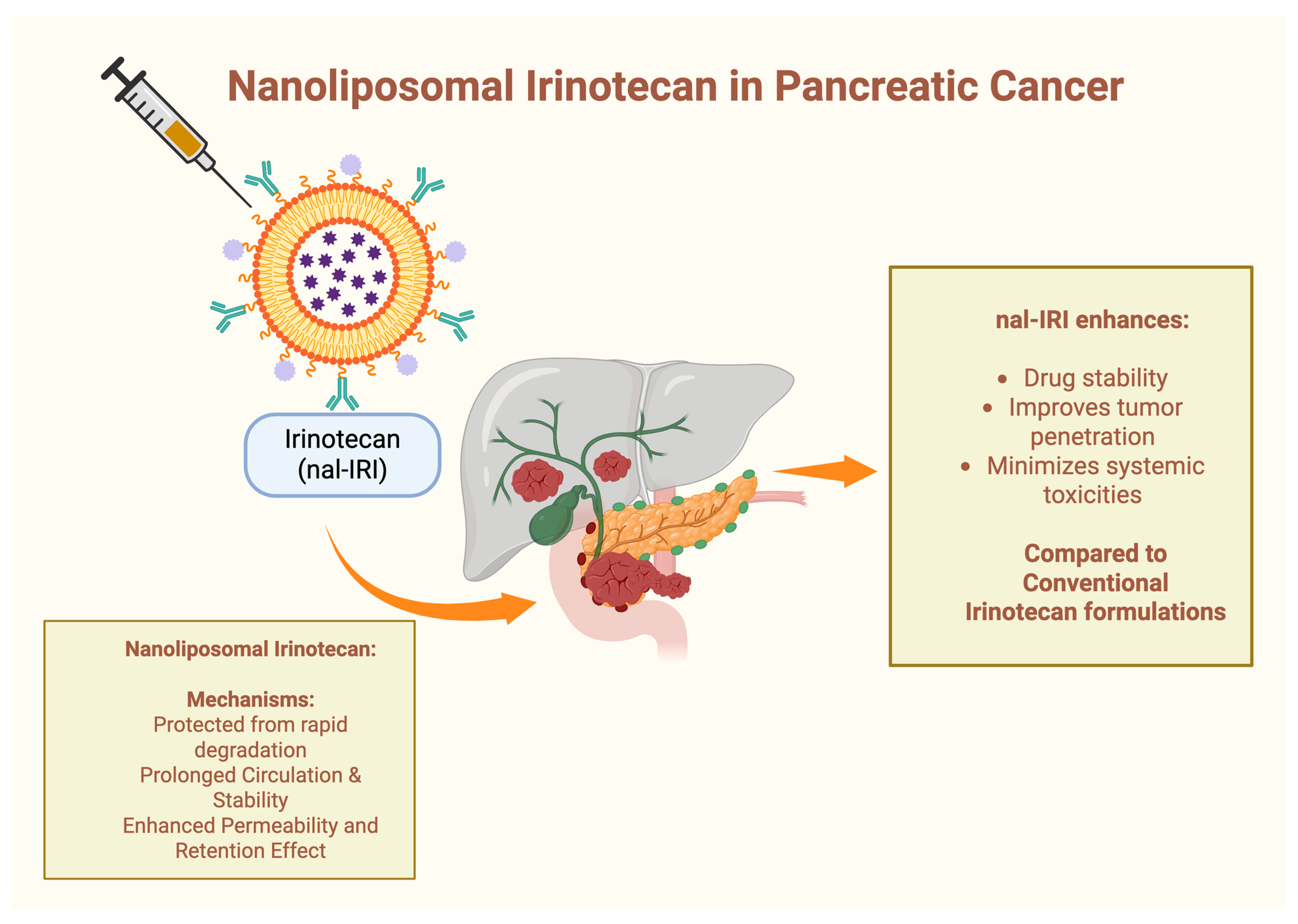 Cancers 17 01726 g005