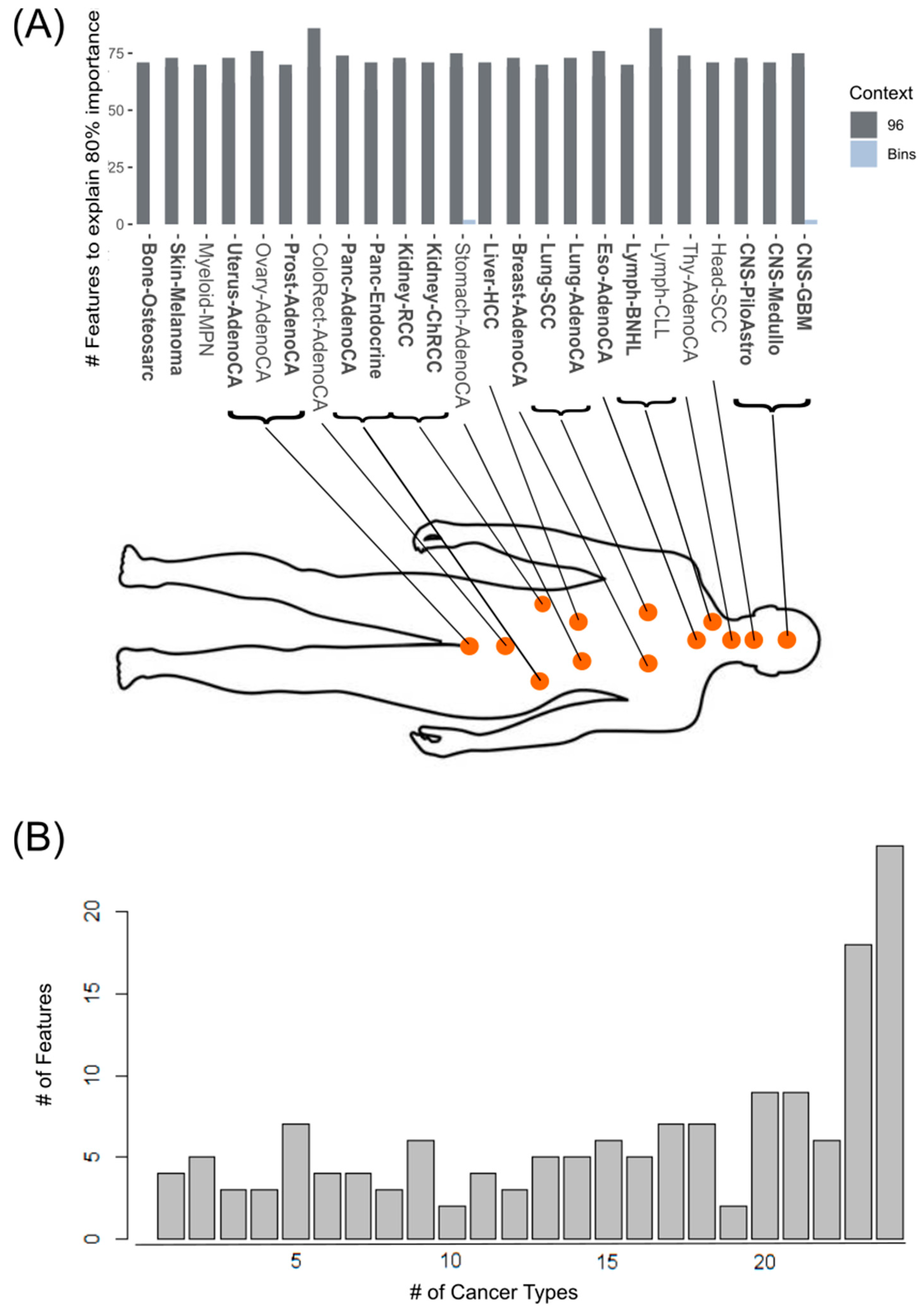 Cancers 17 01731 g004 Cancers 17 01731 g004