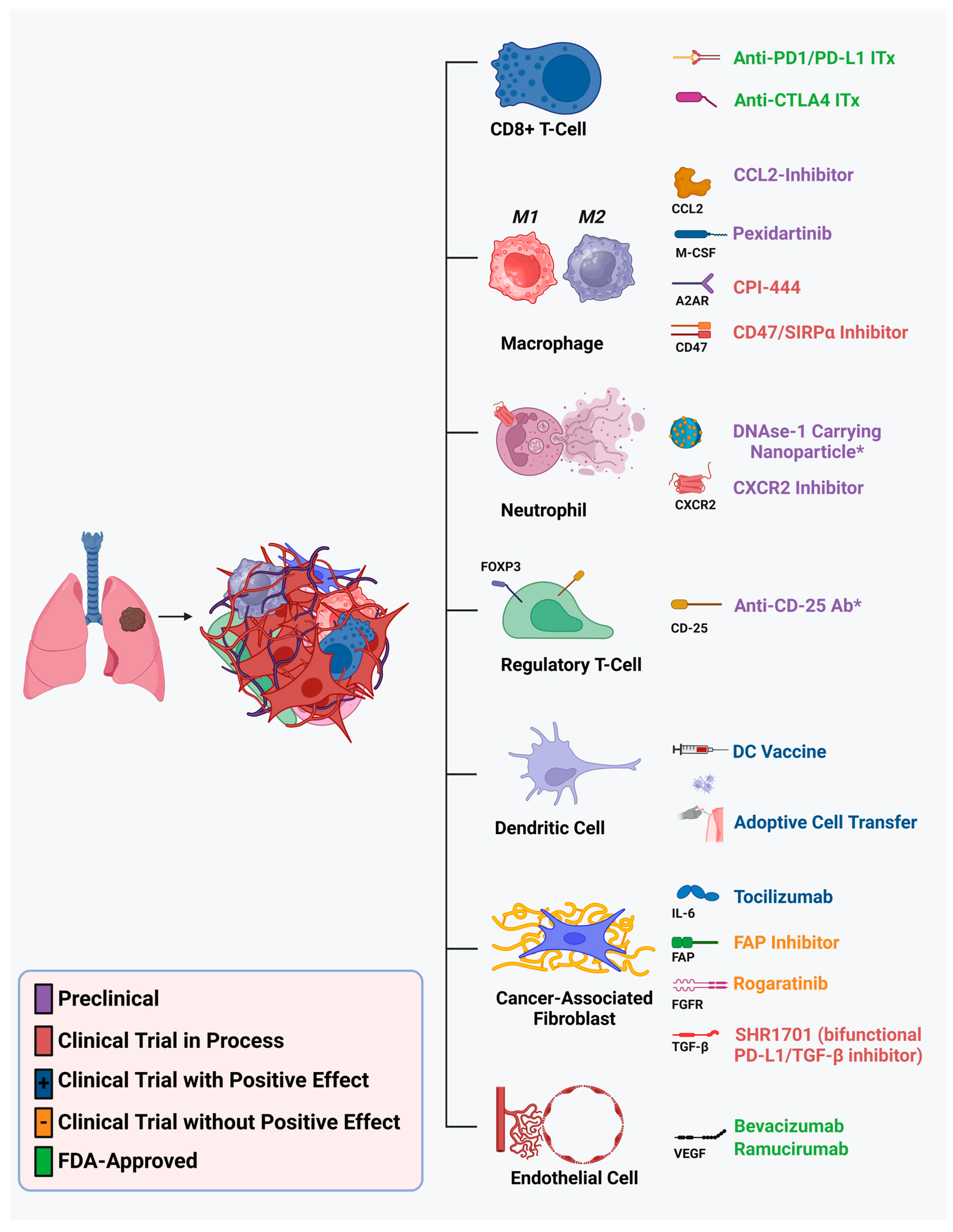 Cancers 17 01732 g001