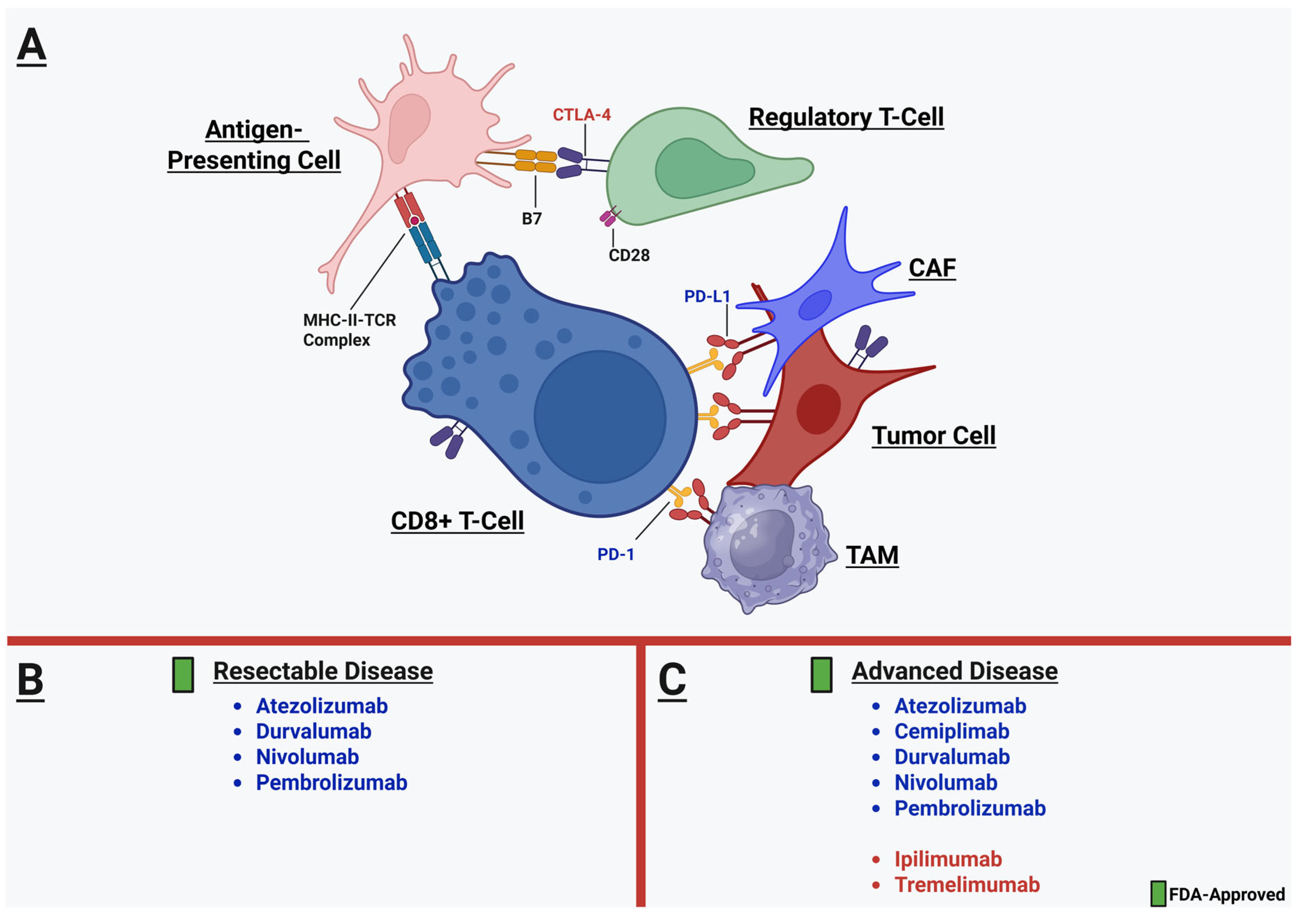 Cancers 17 01732 g002