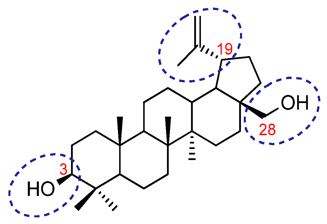 Cancers 17 01737 g001