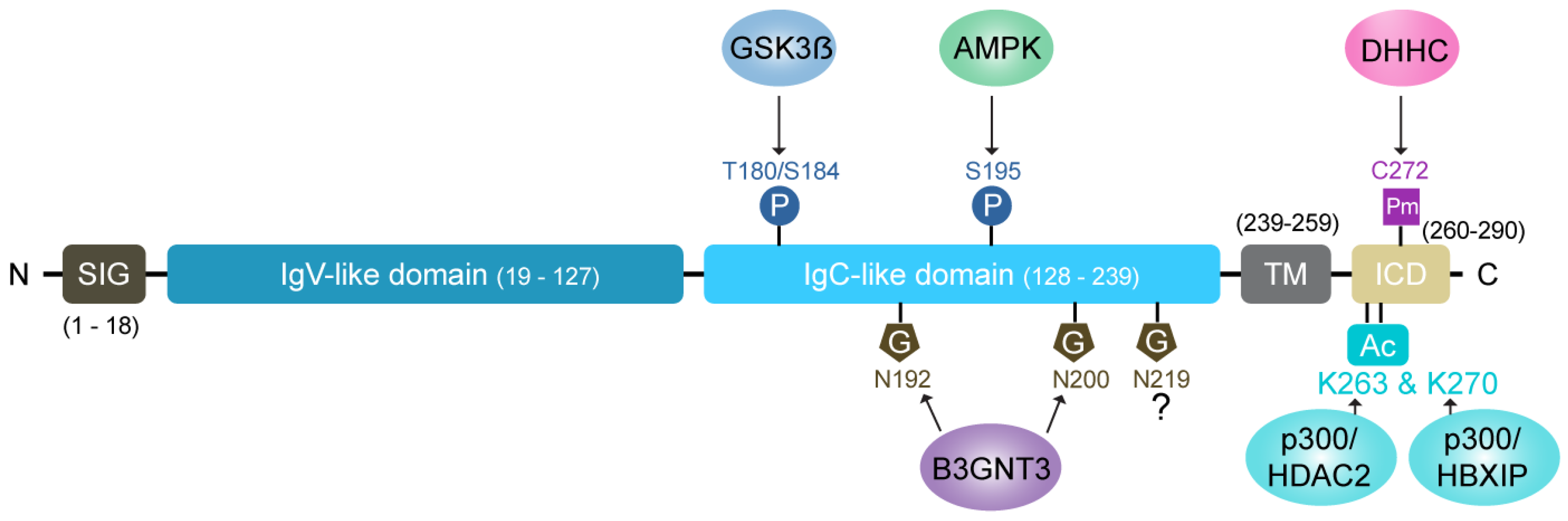 Cancers 17 01747 g001