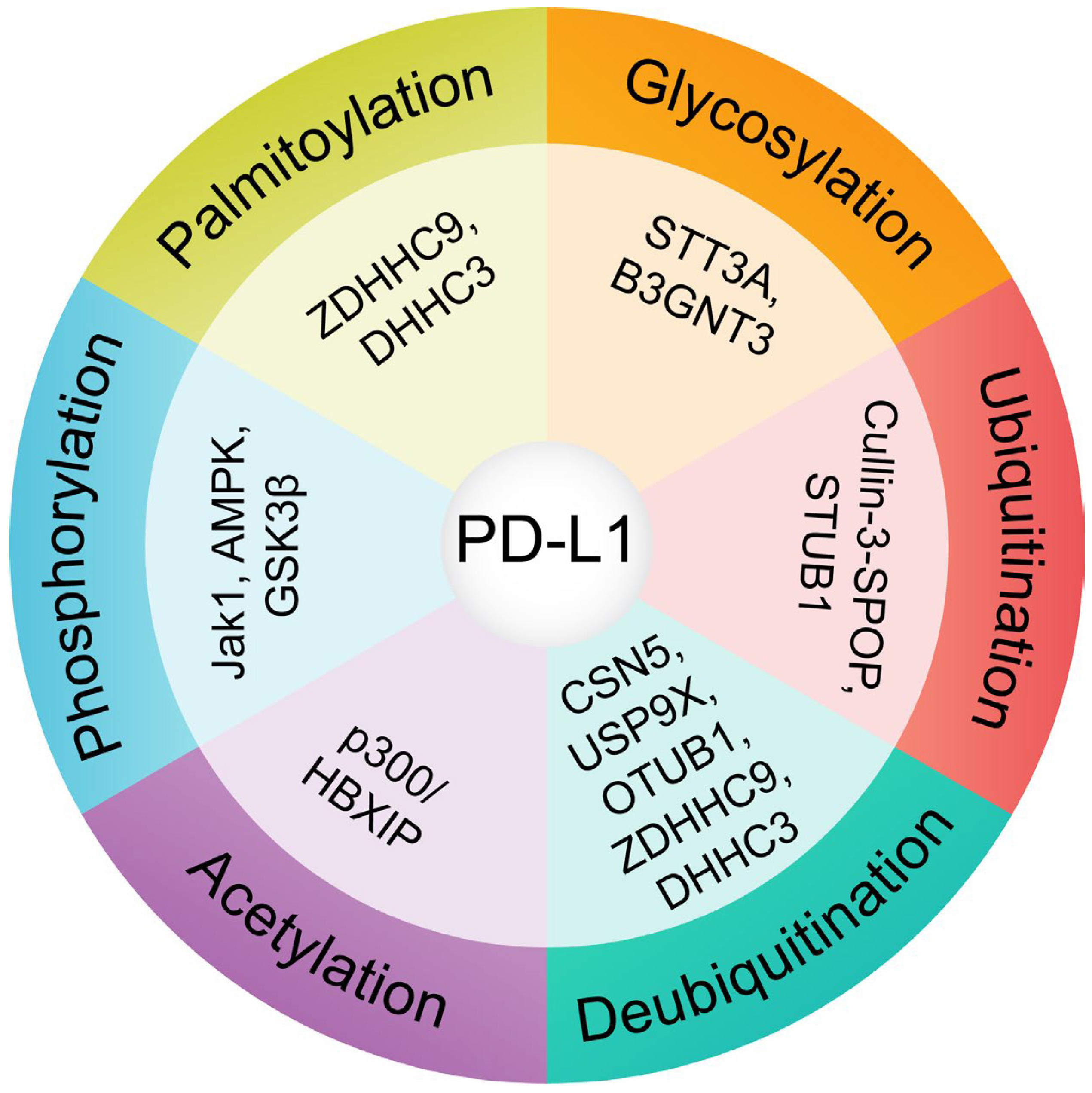 Cancers 17 01747 g002